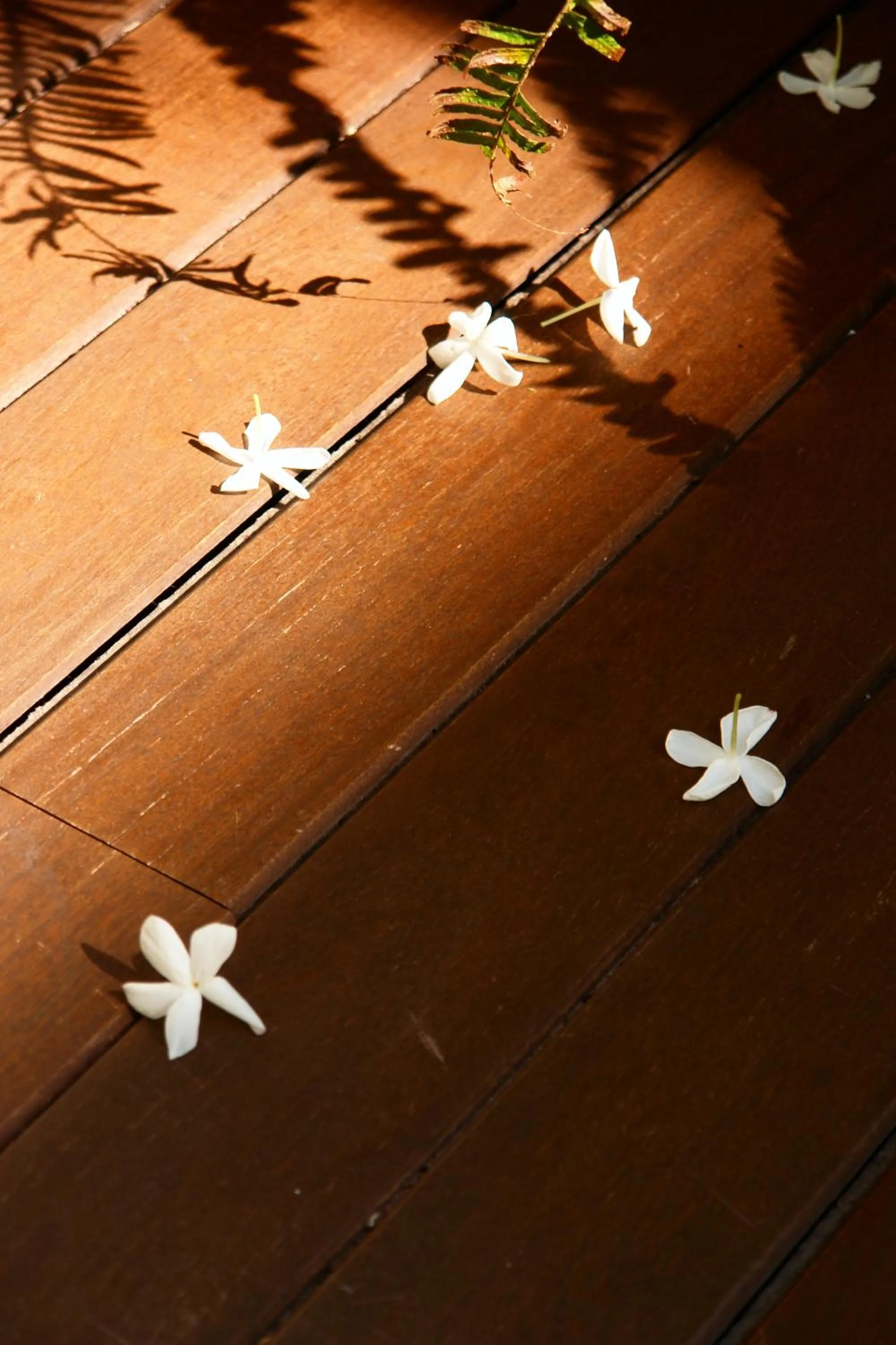 Garden in La Alcoba del Agua Hotel Boutique