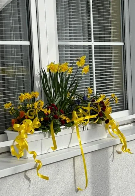 Garden view in Hotel Waldperle