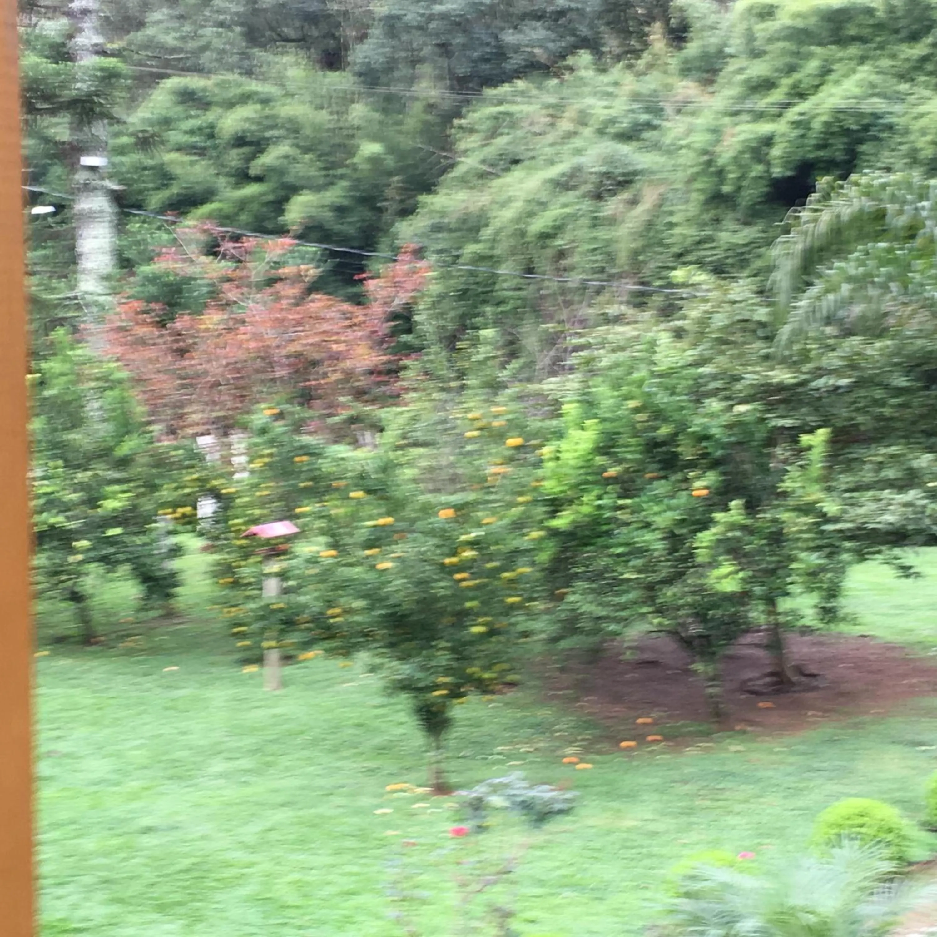 Garden view in Pousada Casa Fazenda do Rio