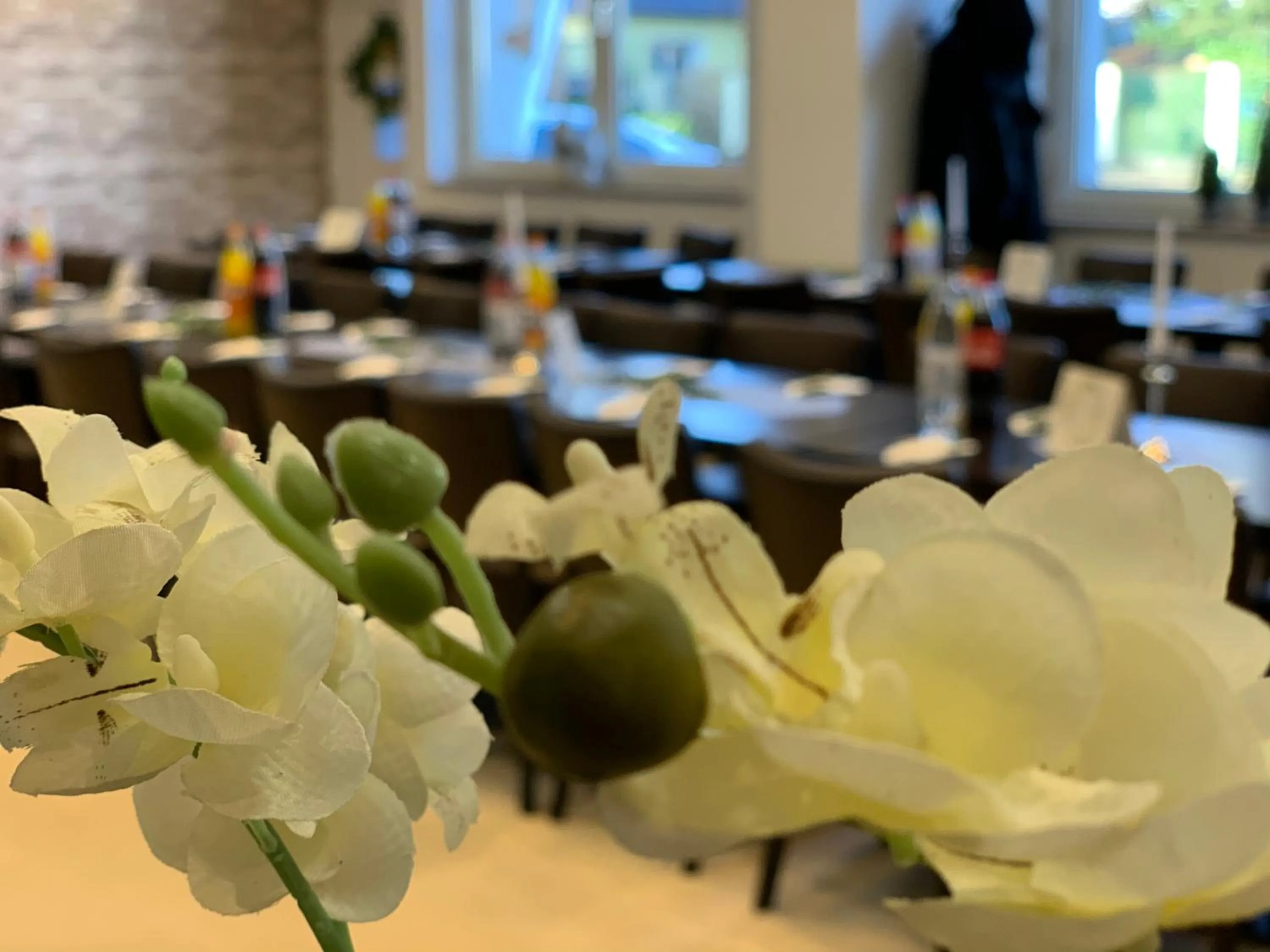 Food and drinks in Apart-Hotel Rheinischer Hof Dormagen