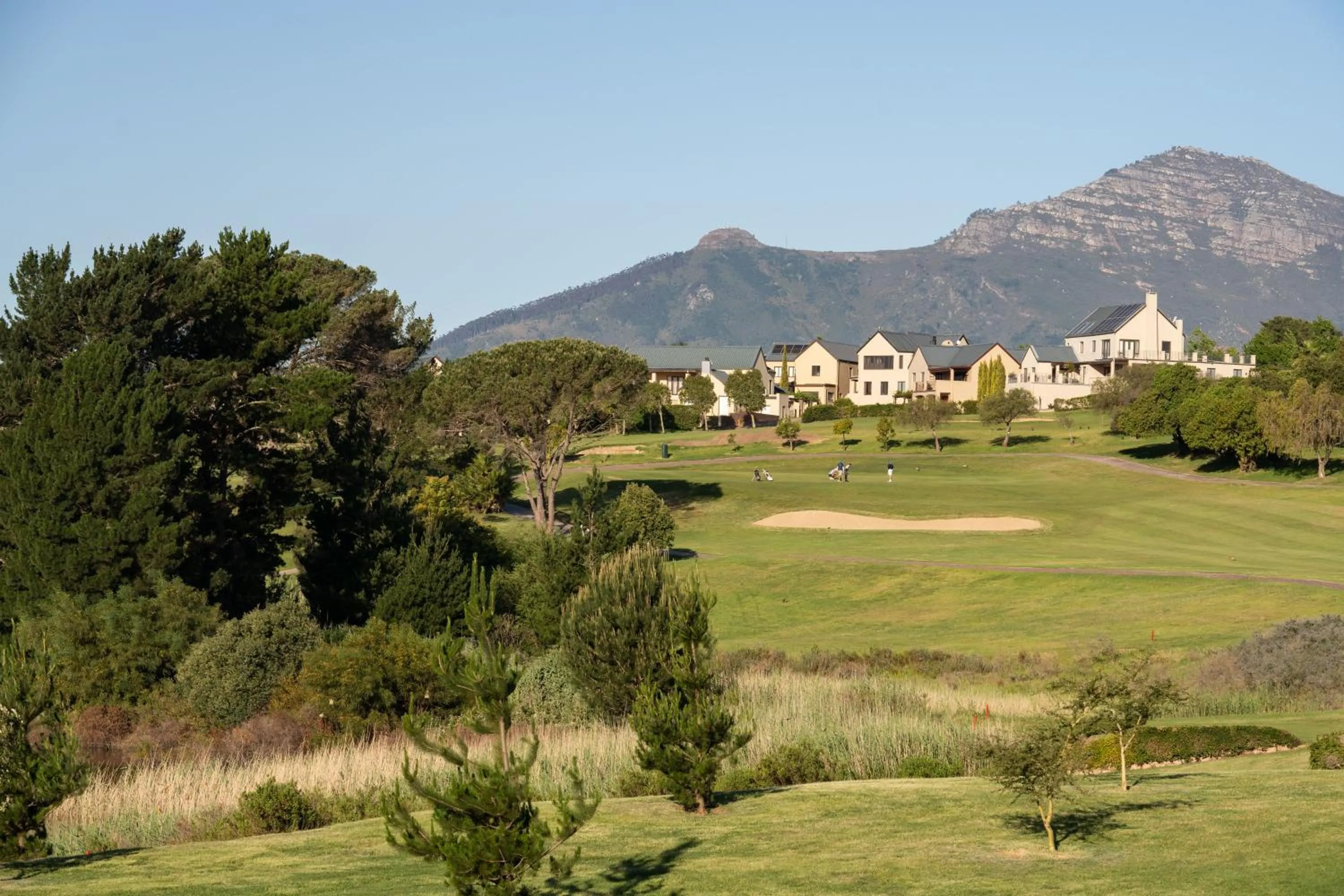 Natural landscape in Devonvale Golf & Wine Estate