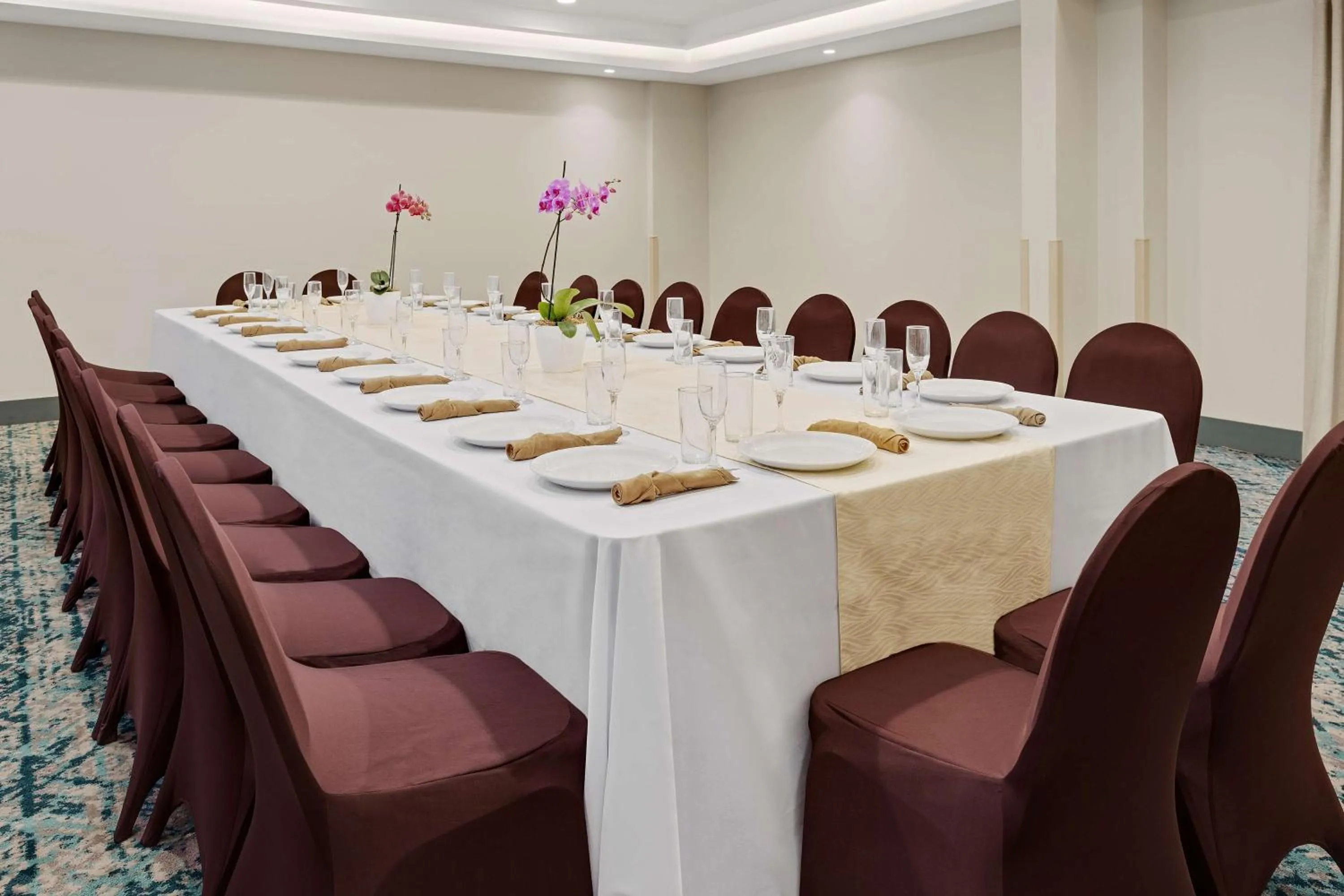 Meeting/conference room in Hampton By Hilton San Jose Airport Costa Rica