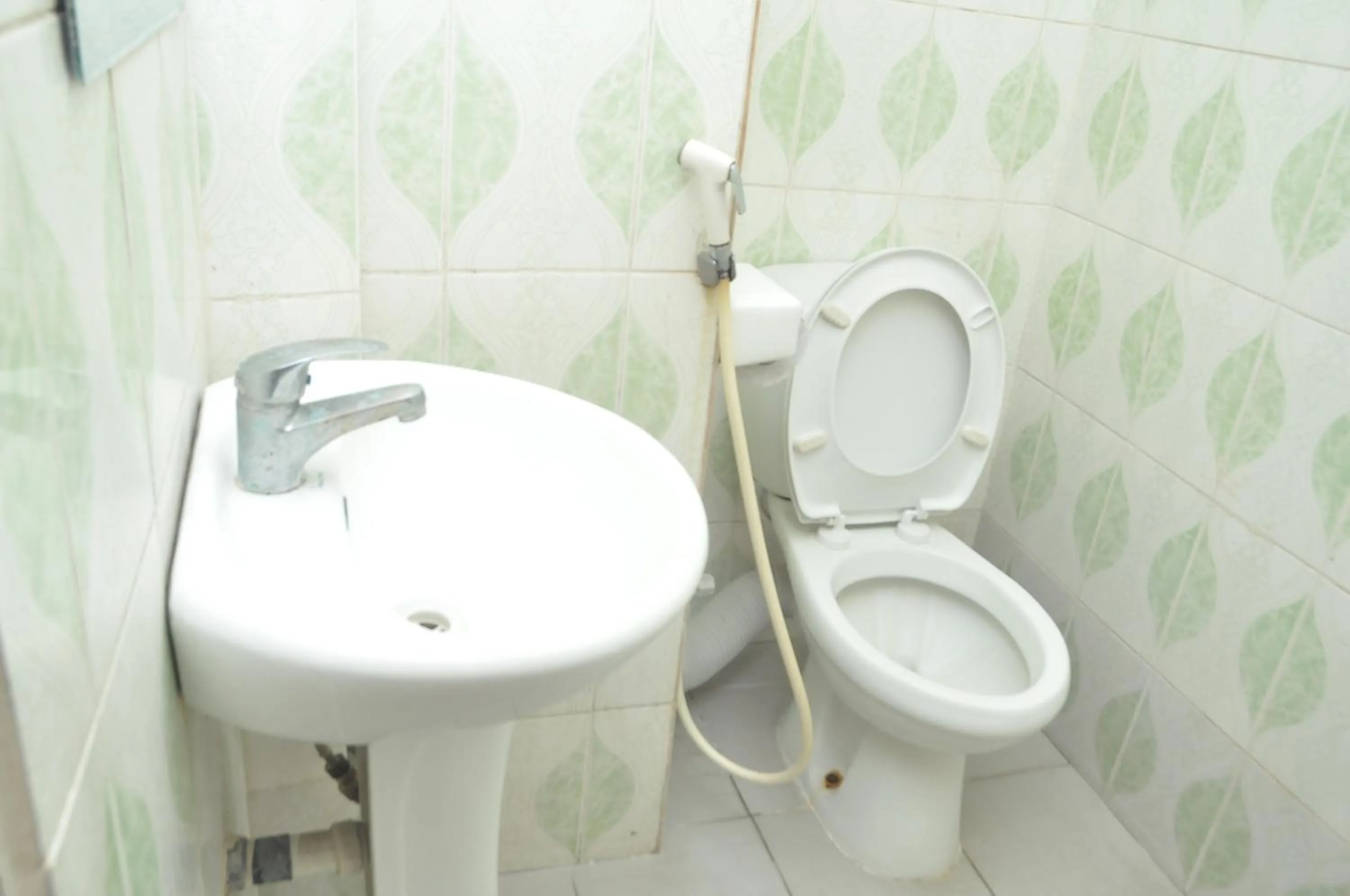 Toilet in Hotel Ideal