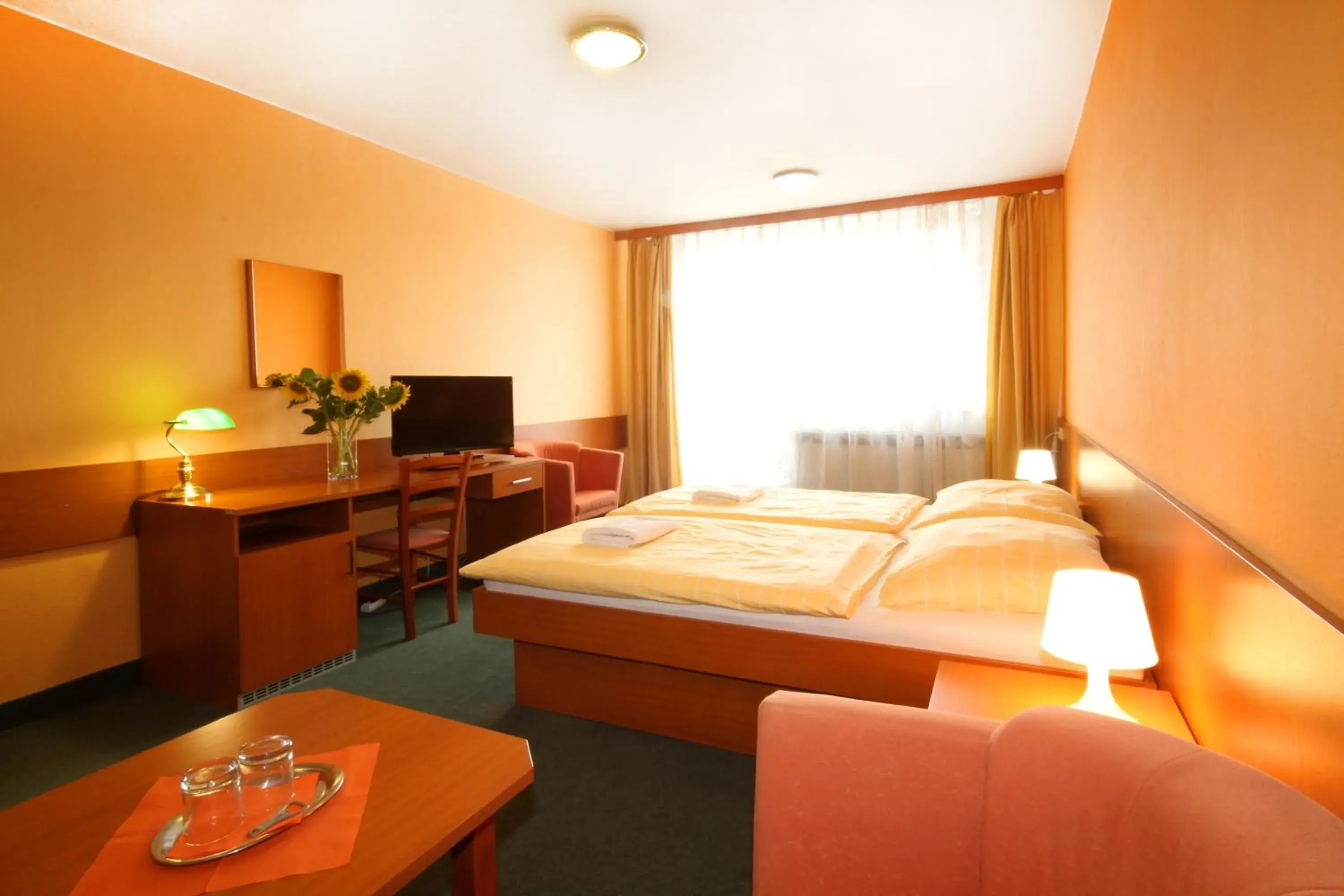 Superior Double or Twin Room - single occupancy in Hotel Strážnice Superior Double or Twin Room - single occupancy in Hotel Strážnice