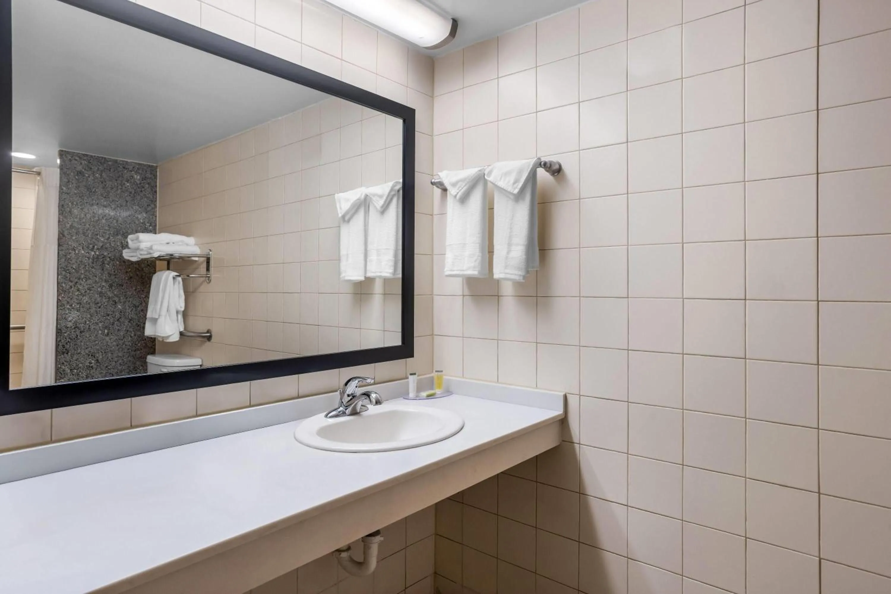 Bathroom in Days Inn by Wyndham Adel I-75