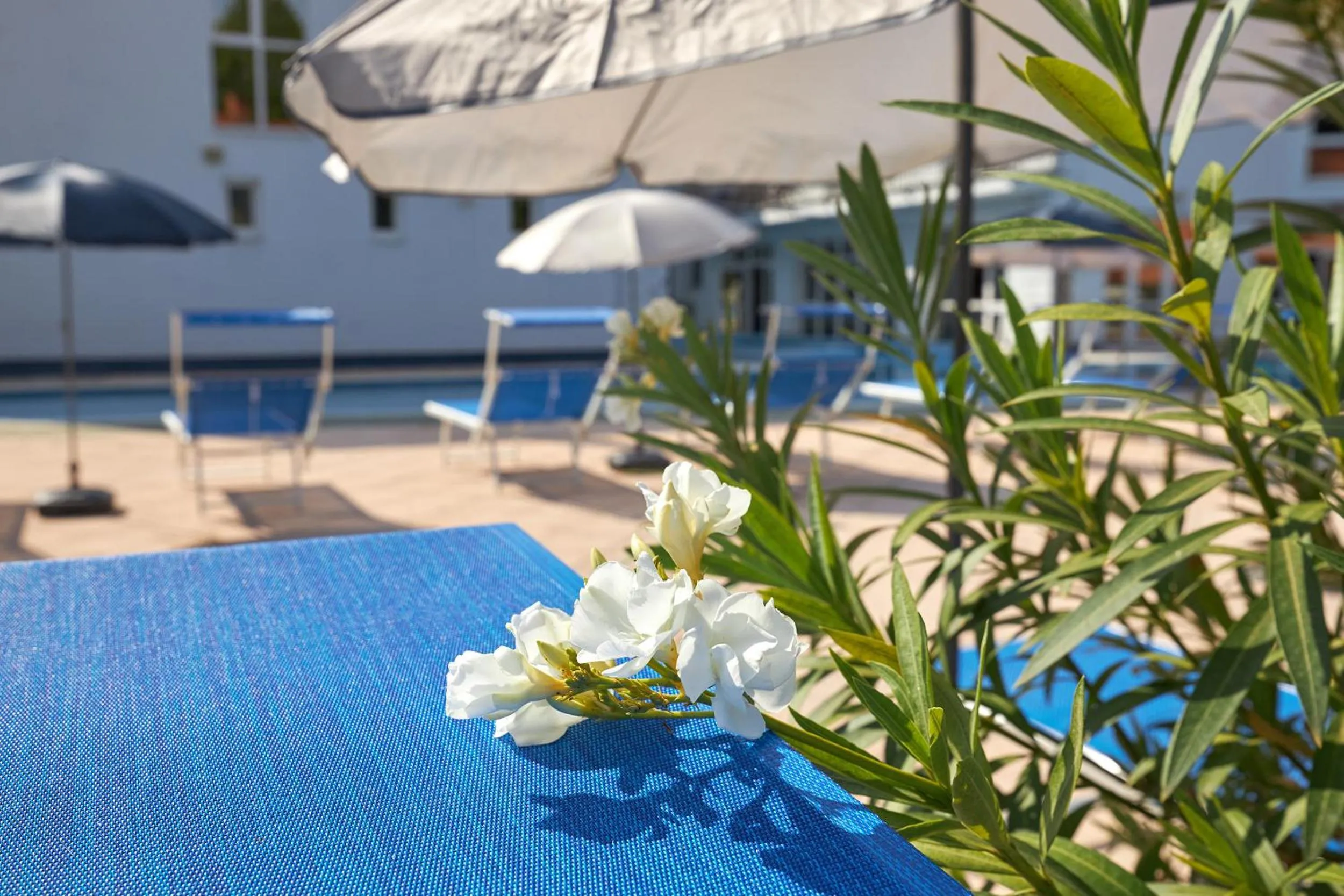 Swimming pool in Hotel Silver