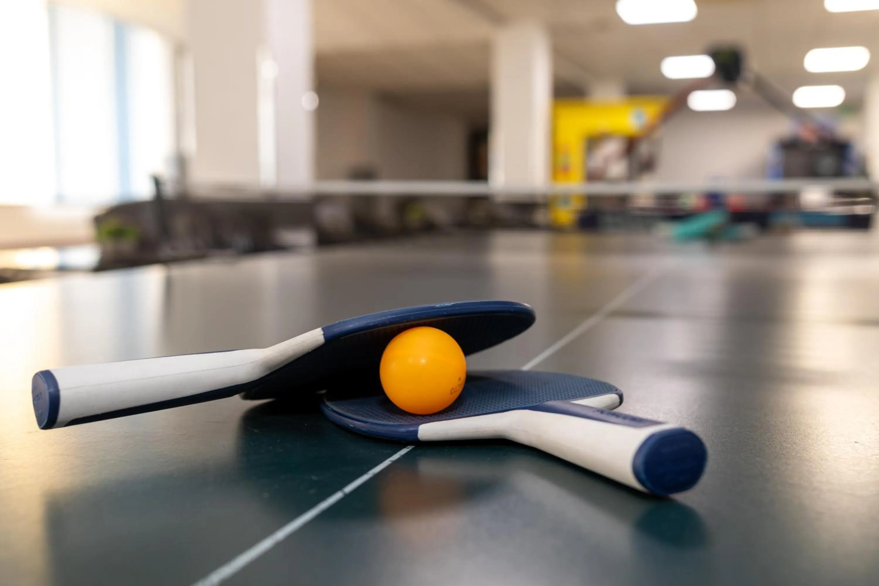 Table tennis in Hotel Silver
