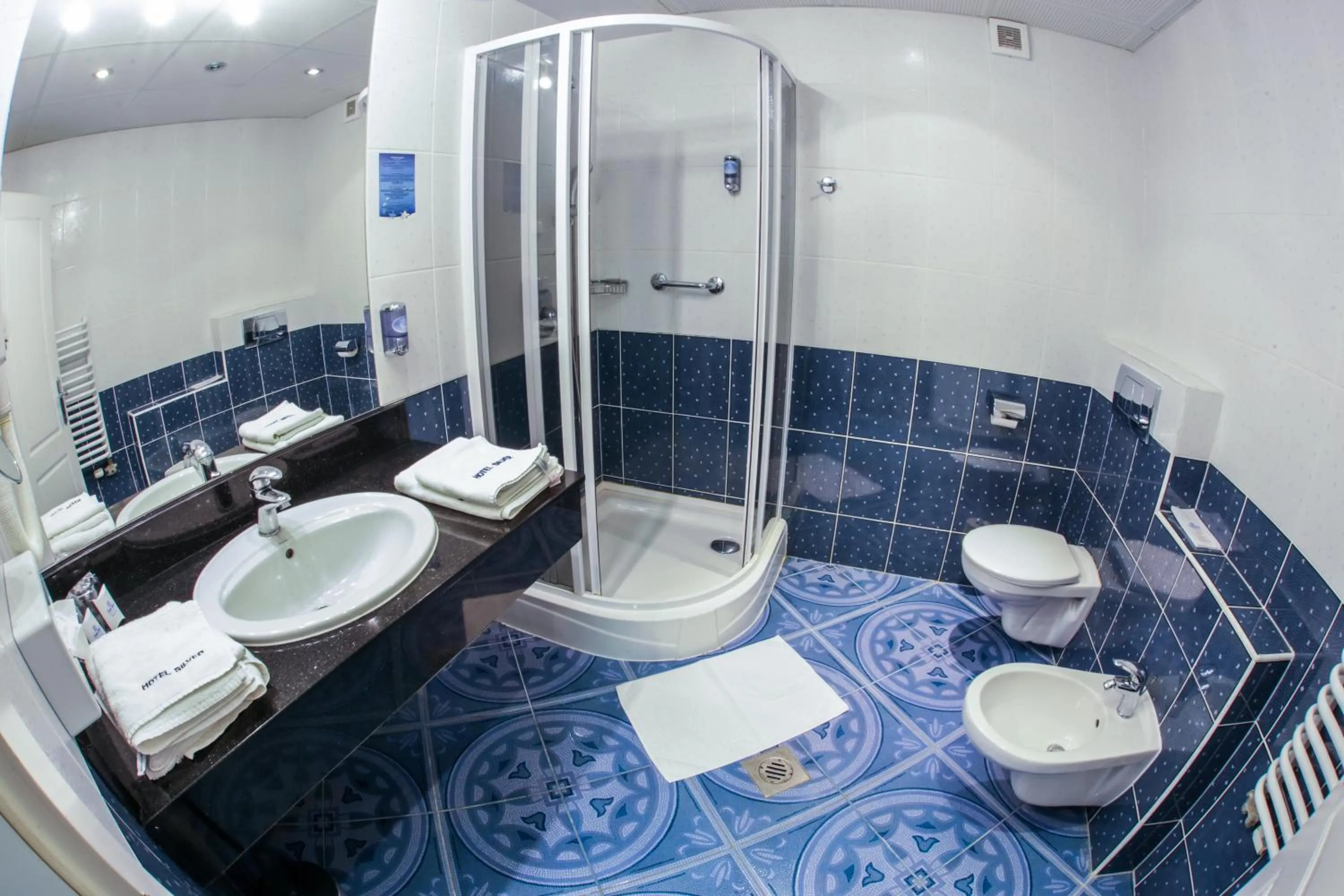 Shower in Hotel Silver