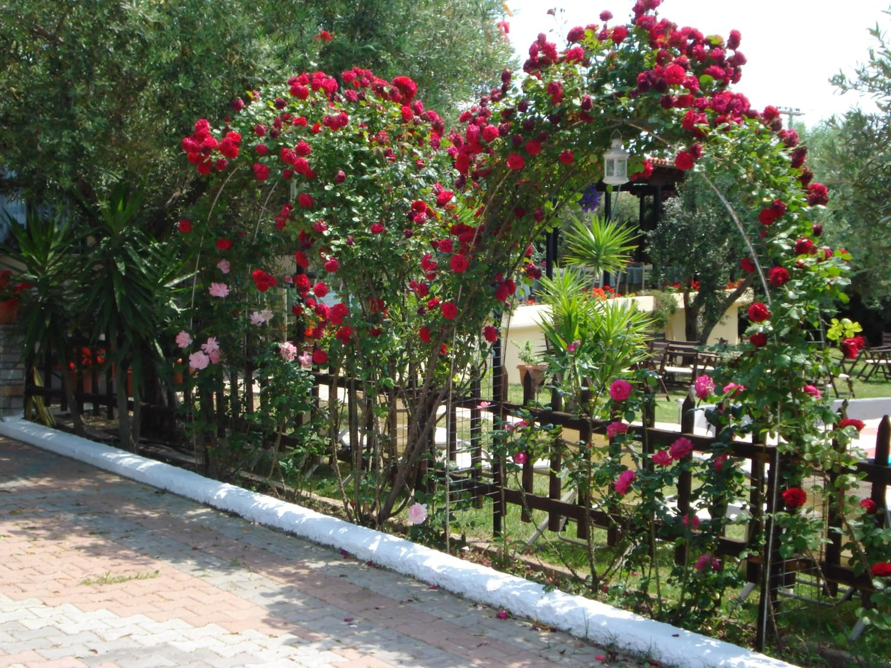 Garden in Asteris Village