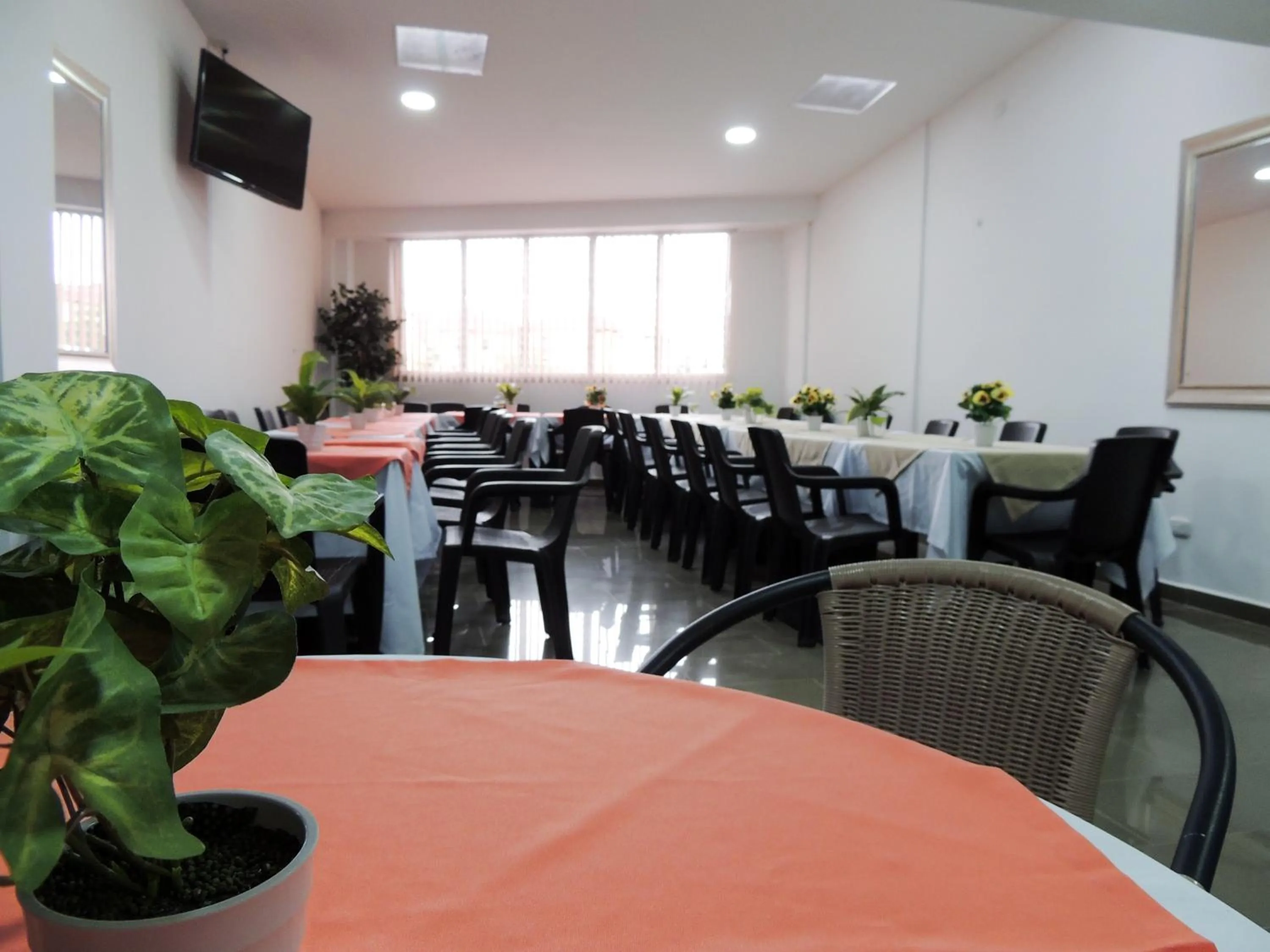 Communal lounge/ TV room in Hotel San Martin