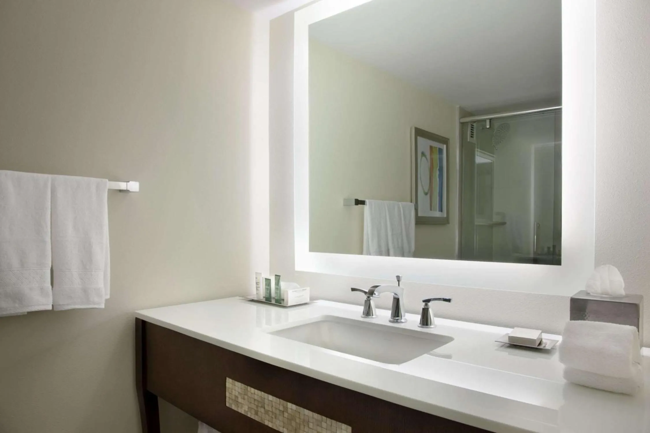 Bathroom in Hilton Miami Airport Blue Lagoon