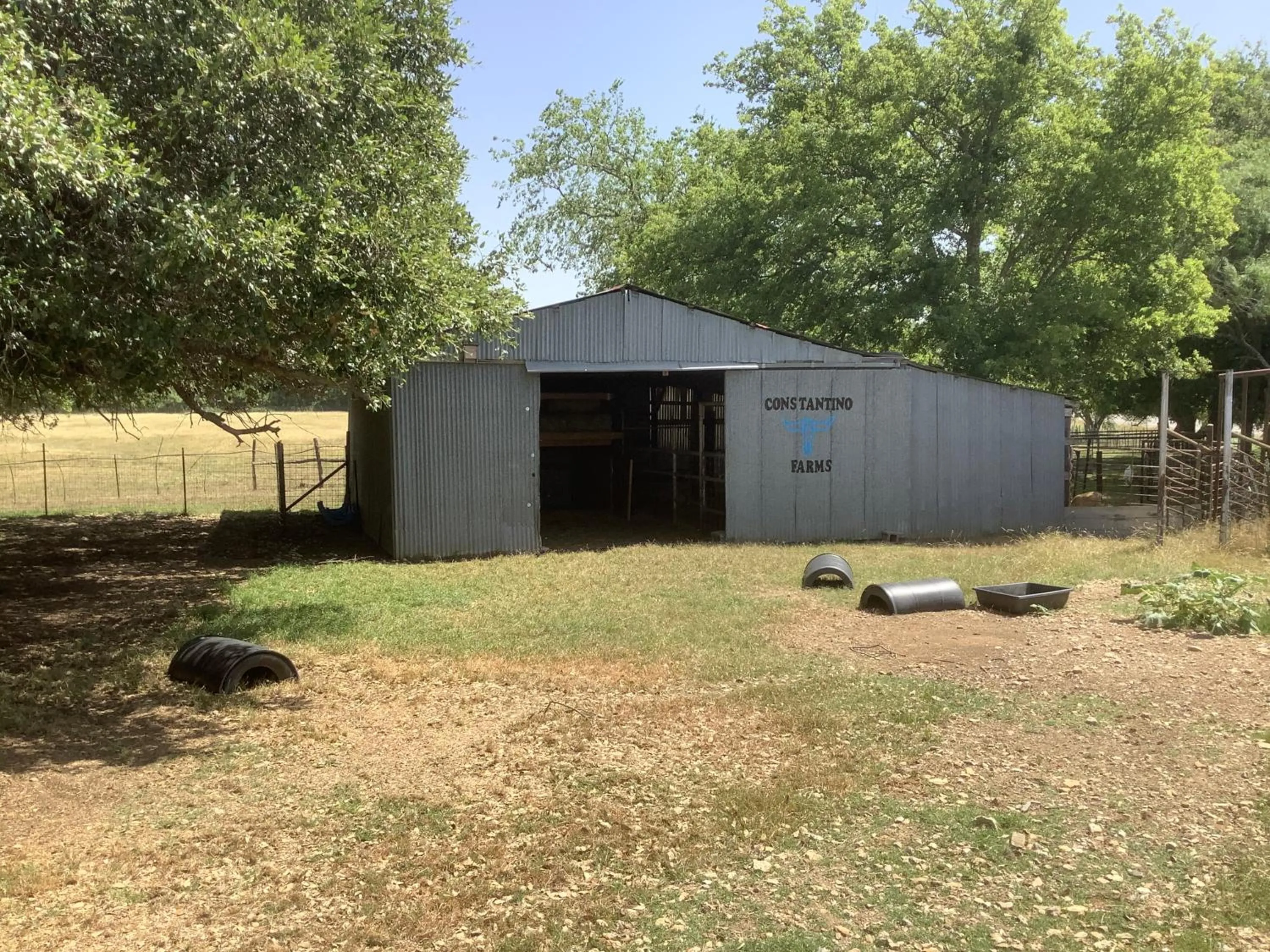 Constantino Farms