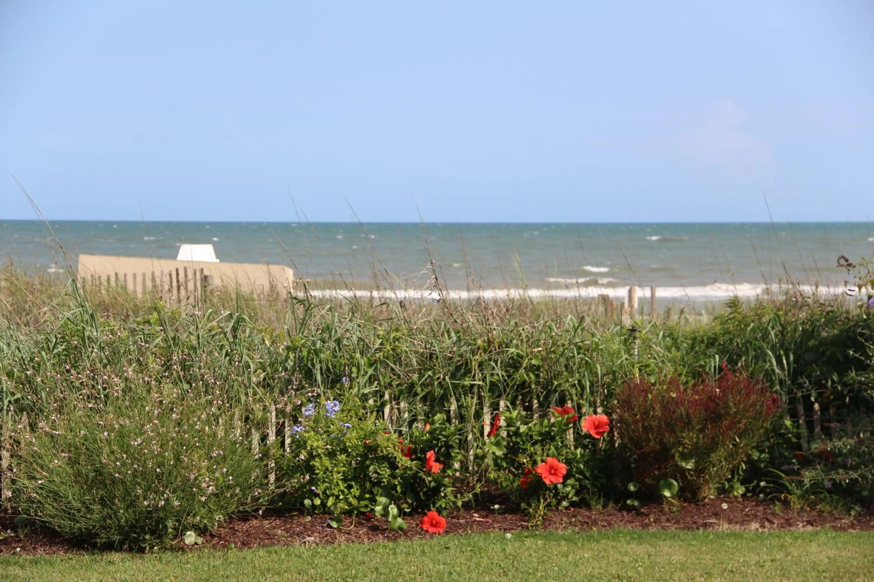 Area and facilities in Jade Tree Cove