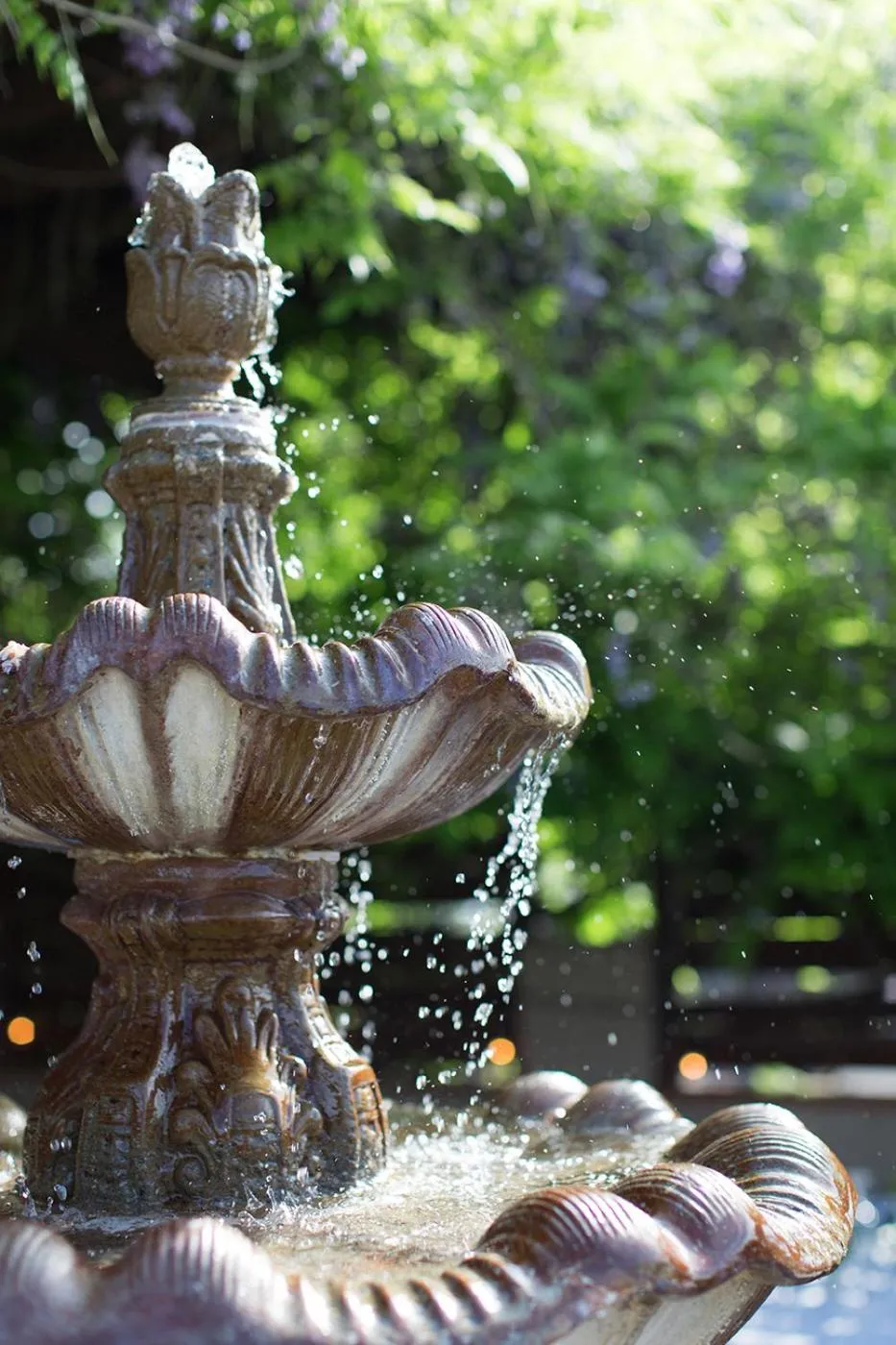 Balcony/Terrace in Rogue Regency Inn & Suites