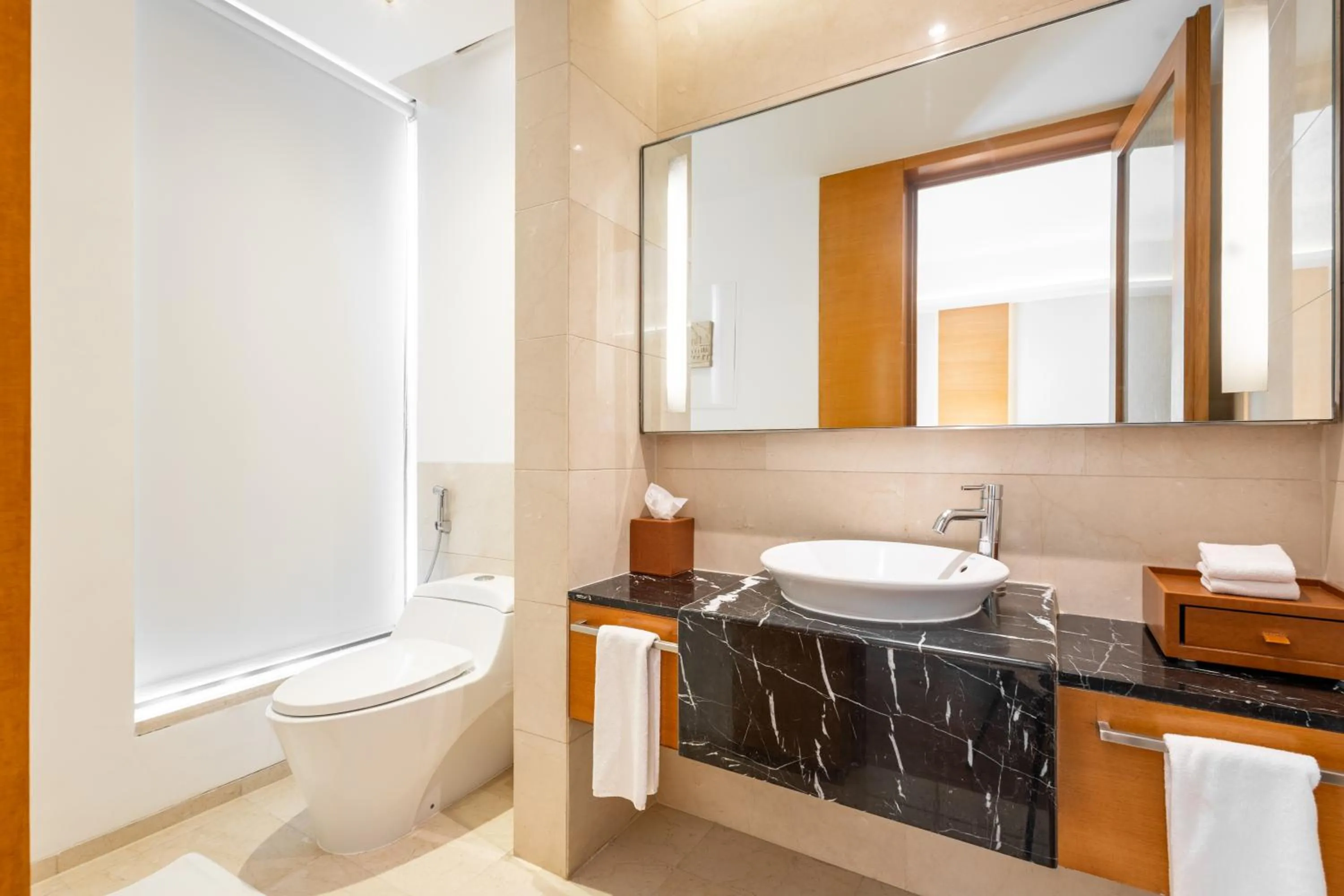 Bathroom in Hyatt Pune