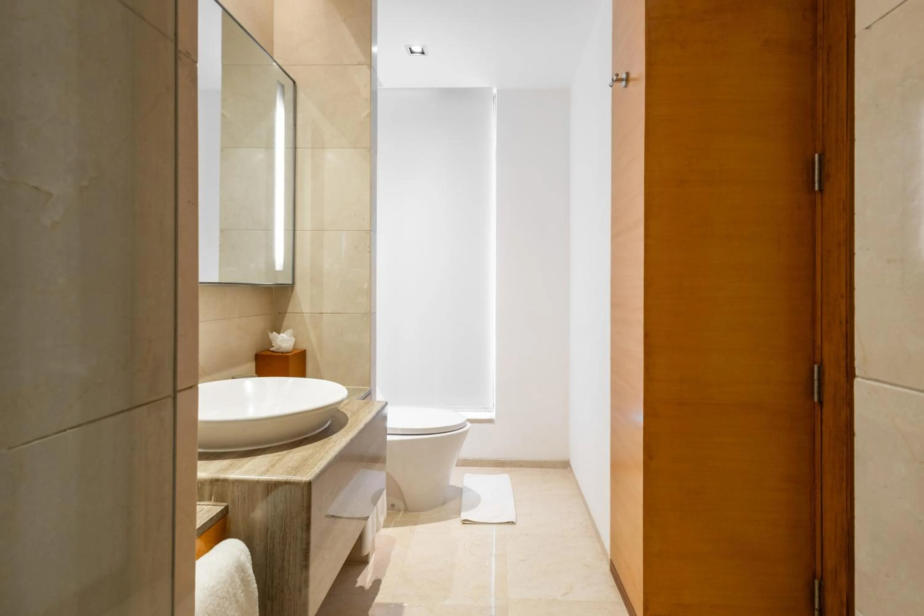 Bathroom in Hyatt Pune