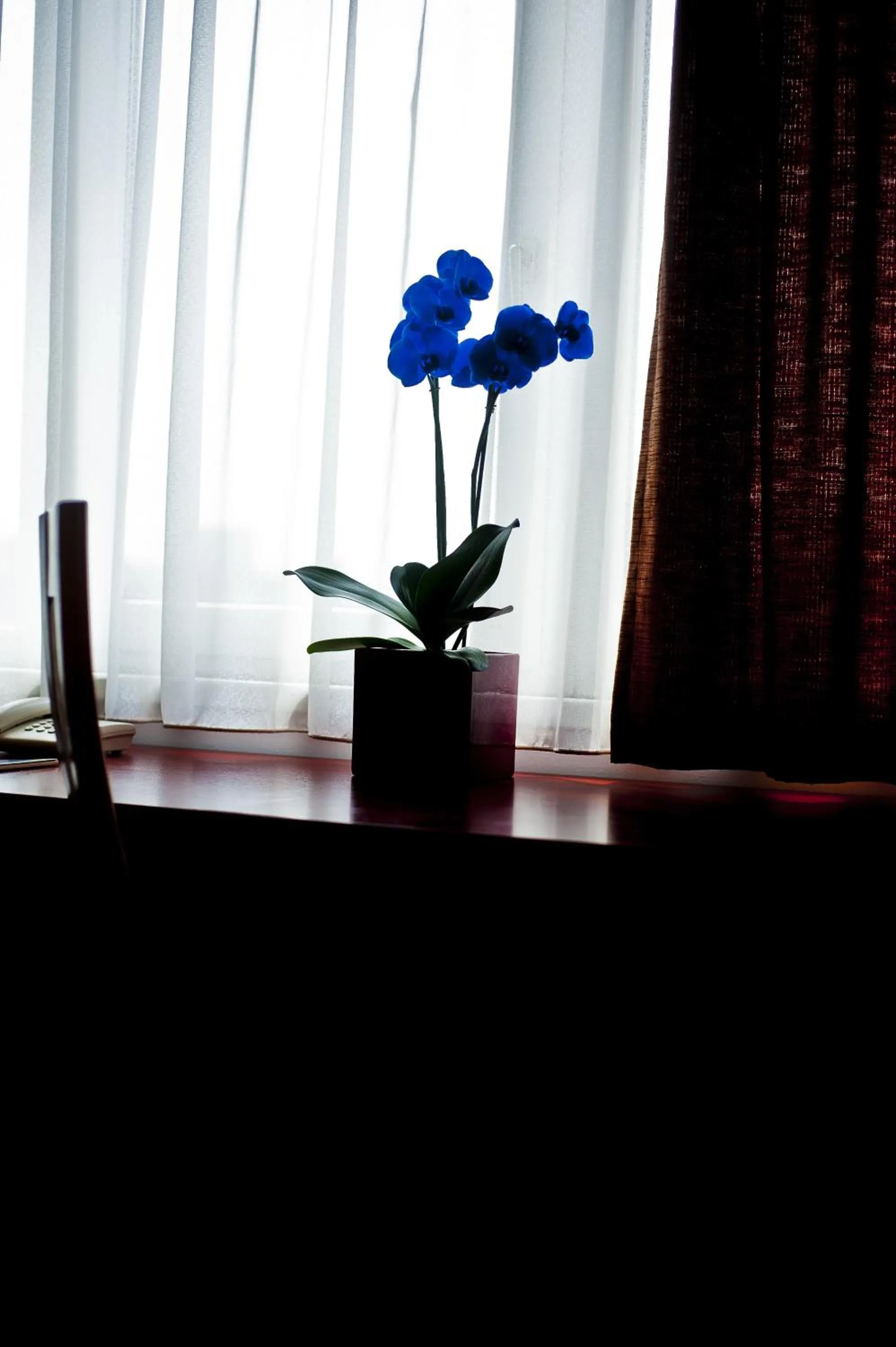 Decorative detail in Canada Hotel Budapest