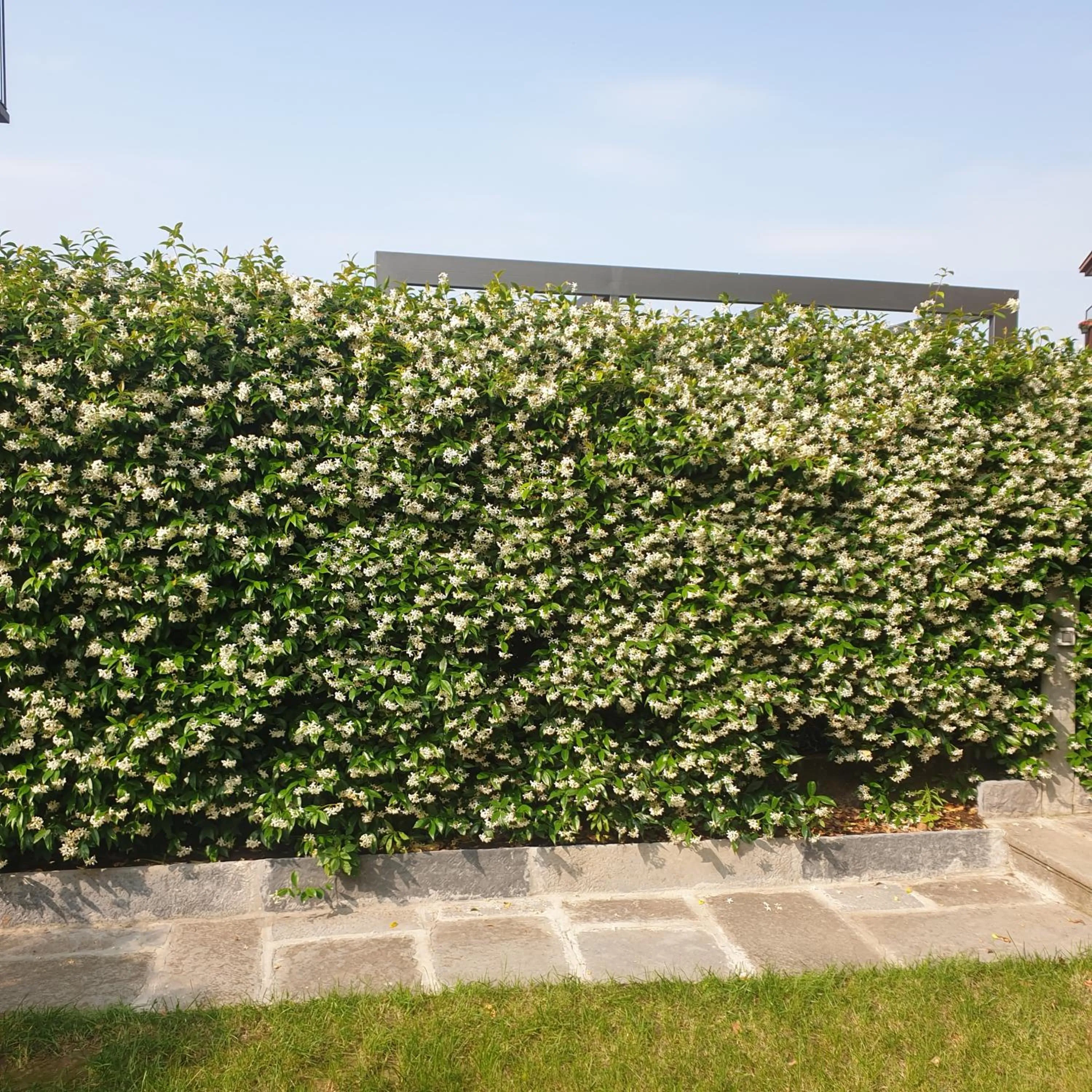 Hotel Ristorante San Giuseppe