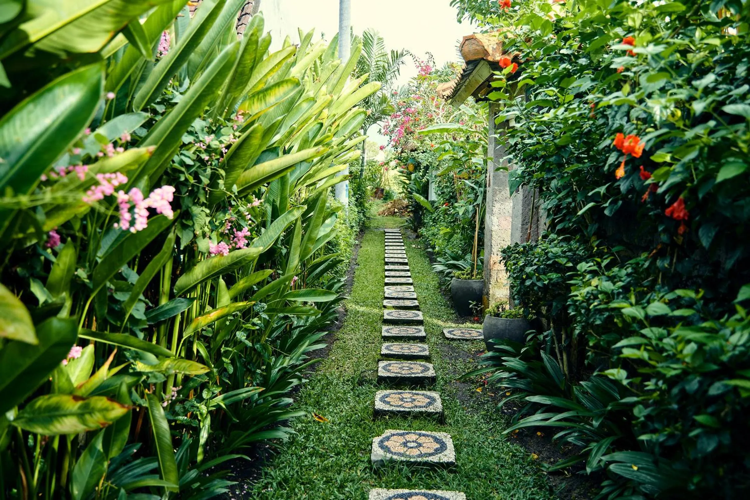 Natural landscape in Lila Boutik Residence