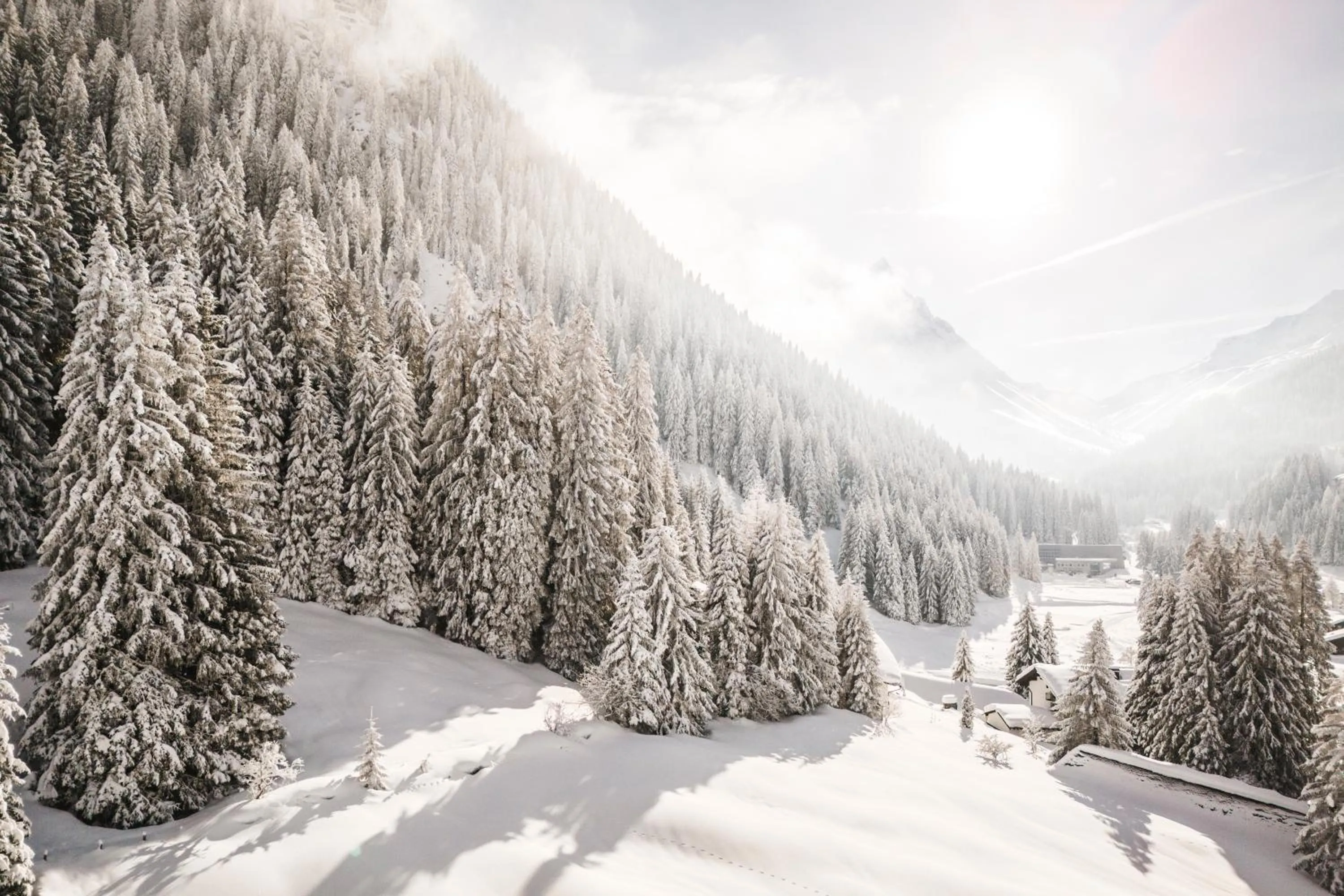 Area and facilities in Sporthotel Bachmann