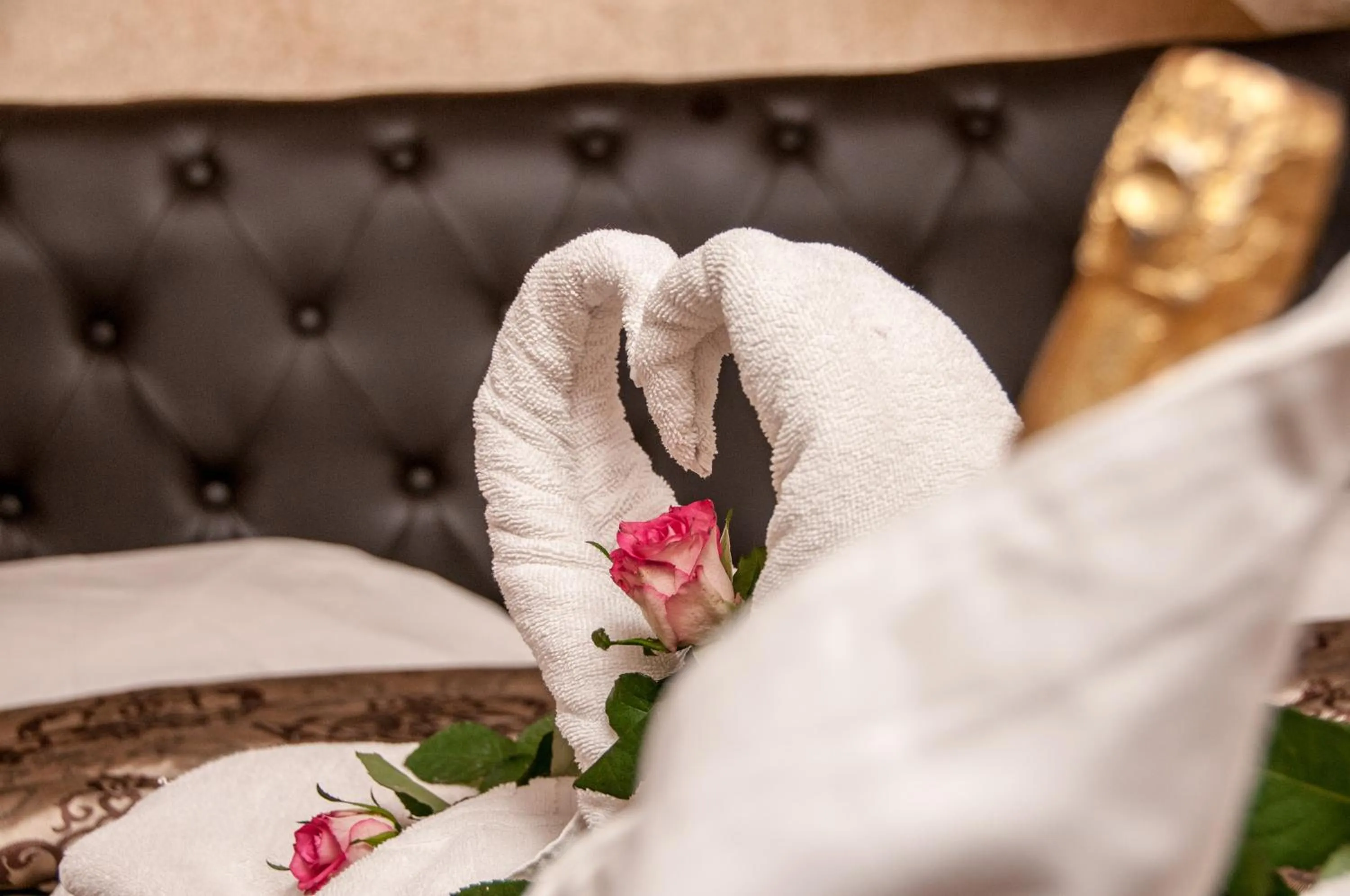 Other in Aeolic Star Hotel