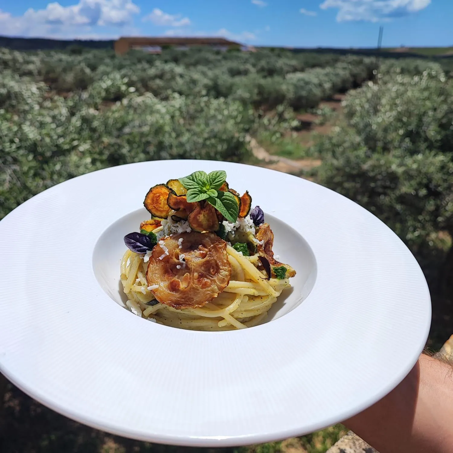 Restaurant/places to eat in Agriturismo Baglio Vecchio