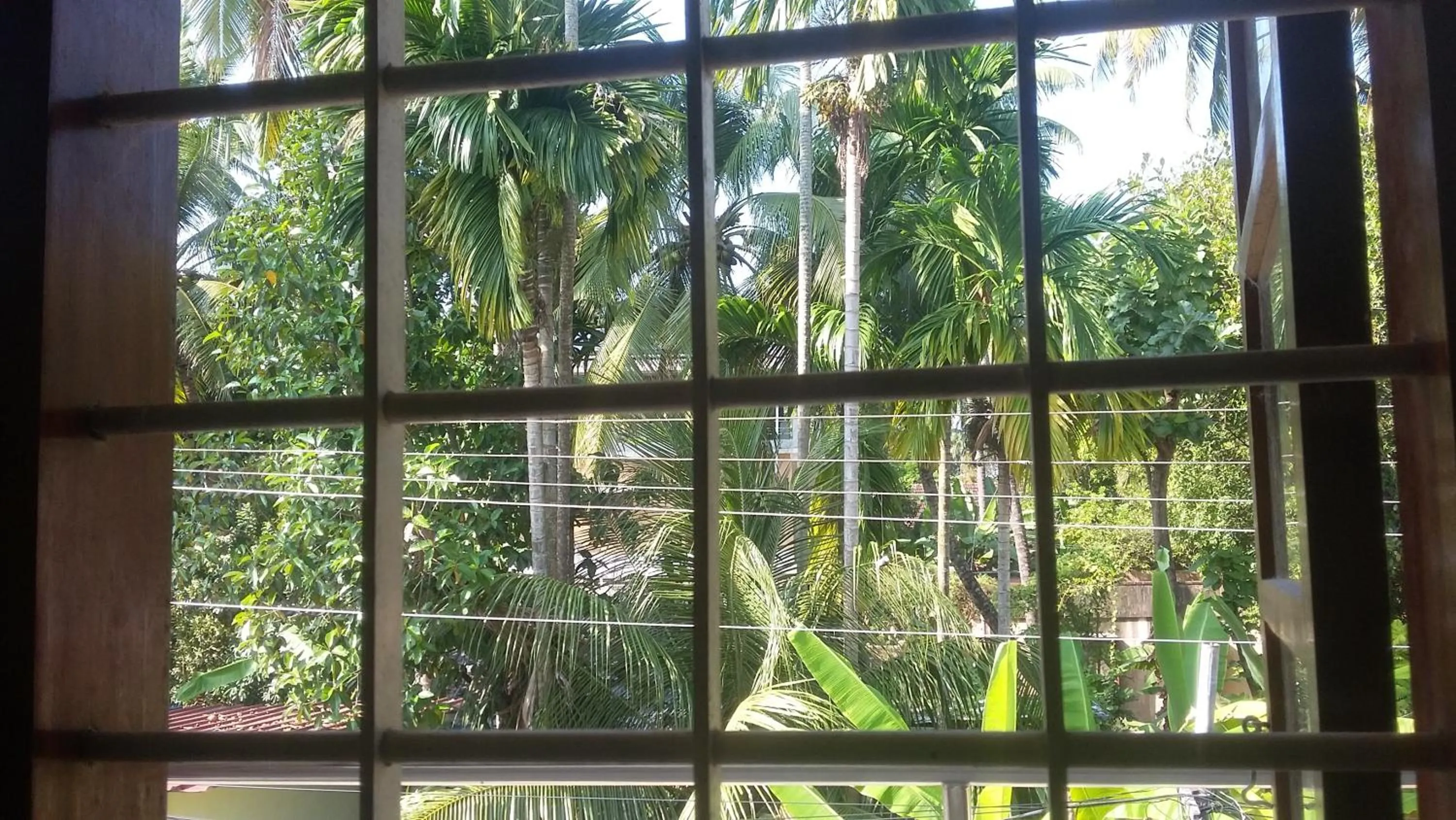 Standard Double Room with Fan in Juliet's Homestay