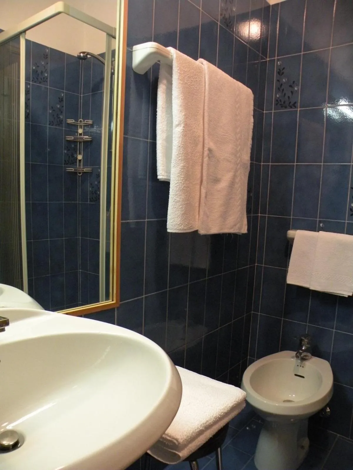 Bathroom in Hotel Vajolet