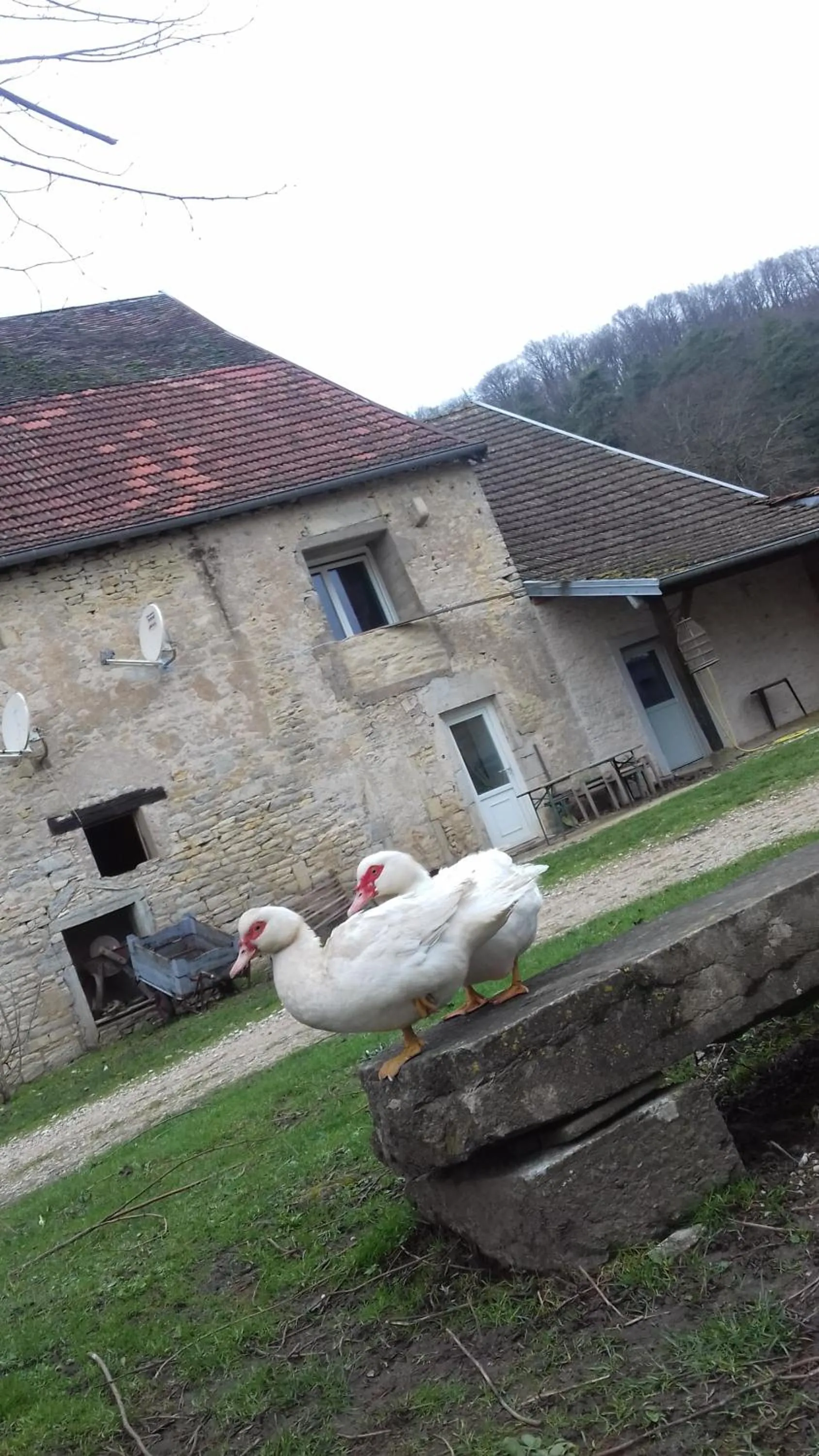 Decorative detail in Domaine de Fontenelay