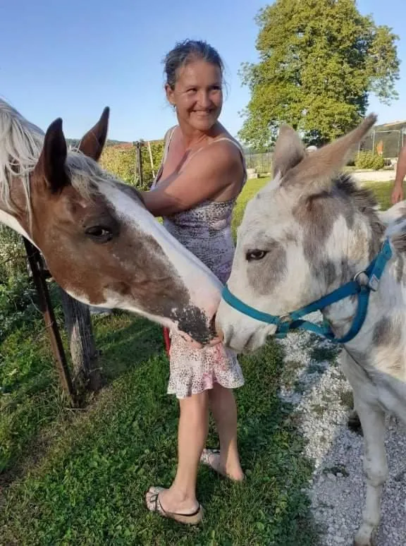 Garden in Domaine de Fontenelay