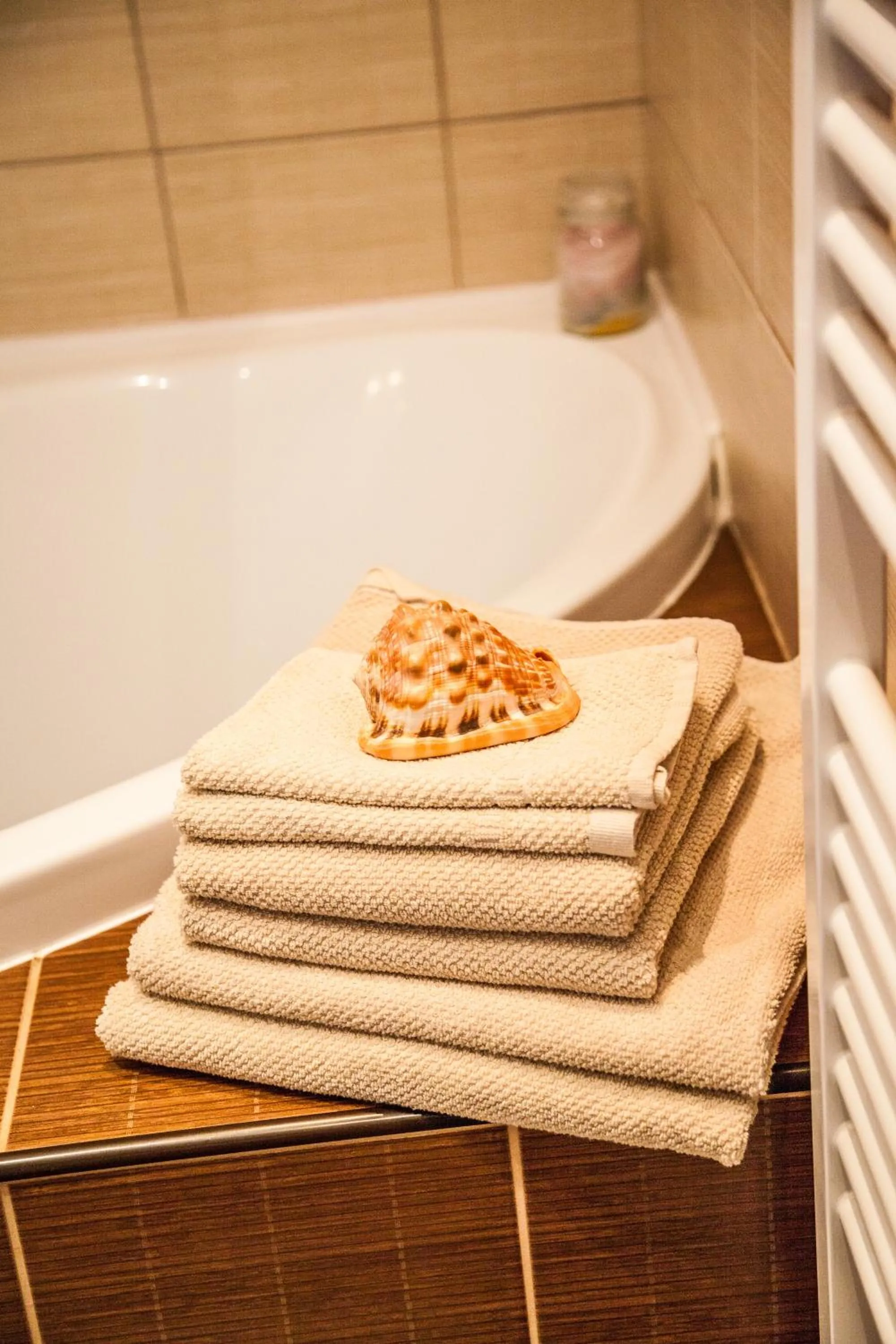 Bathroom in Apartmány U Červeného stromu