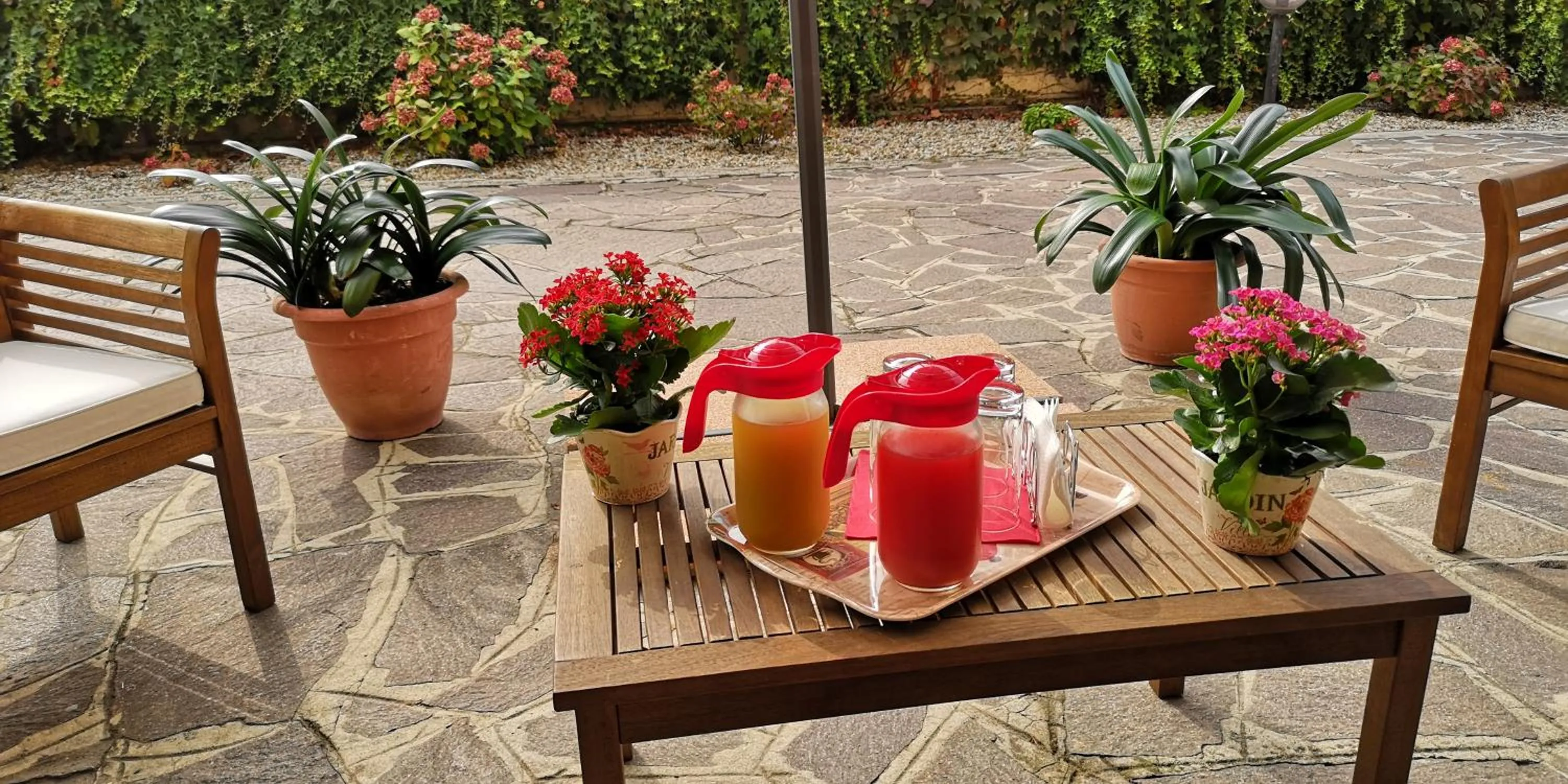 Non alcoholic drinks in B&B Paola e Francesco