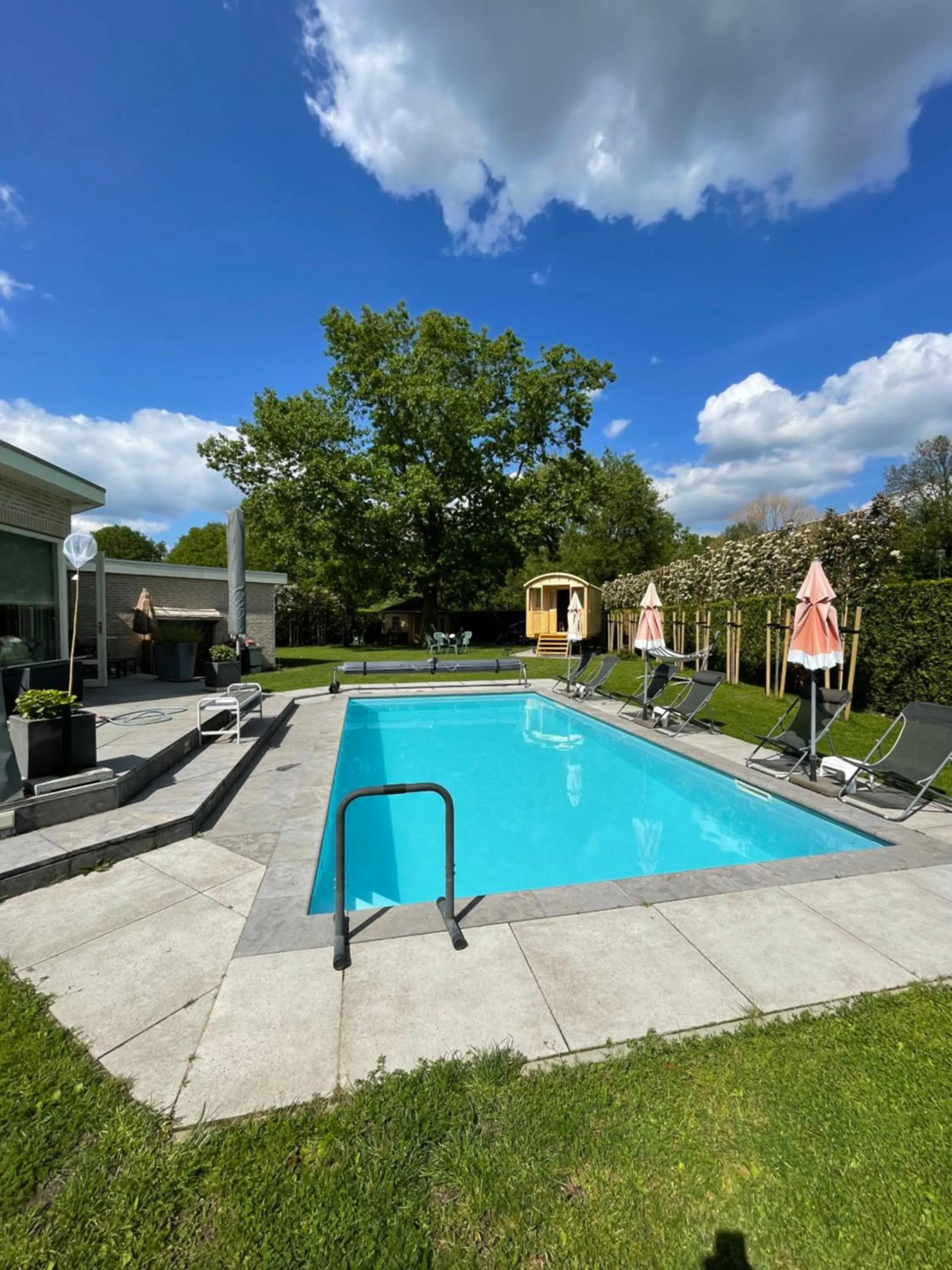 Pool view in B&B Maison Saint Tropez Eindhoven