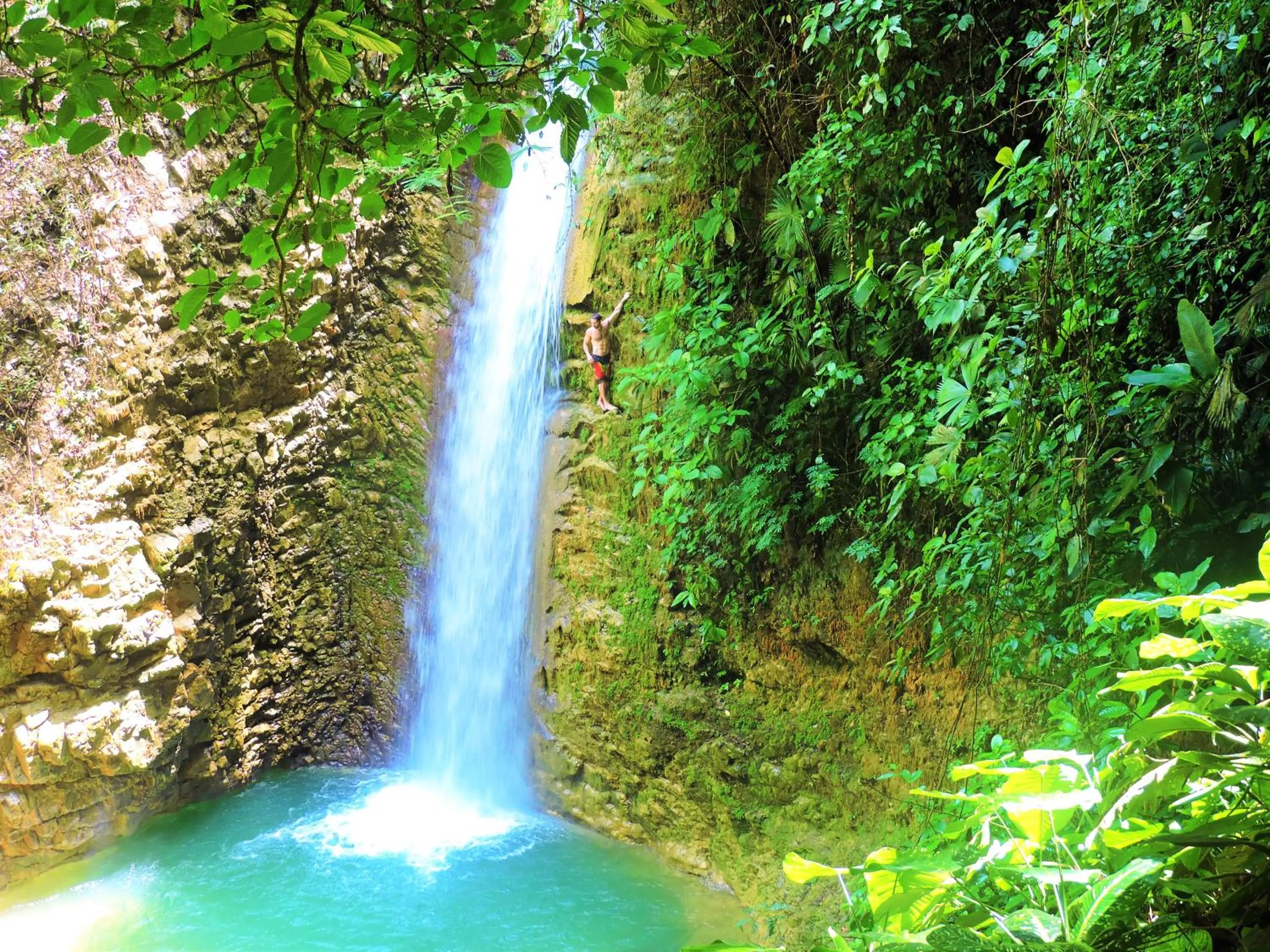 Spring in Casa Linda Vista