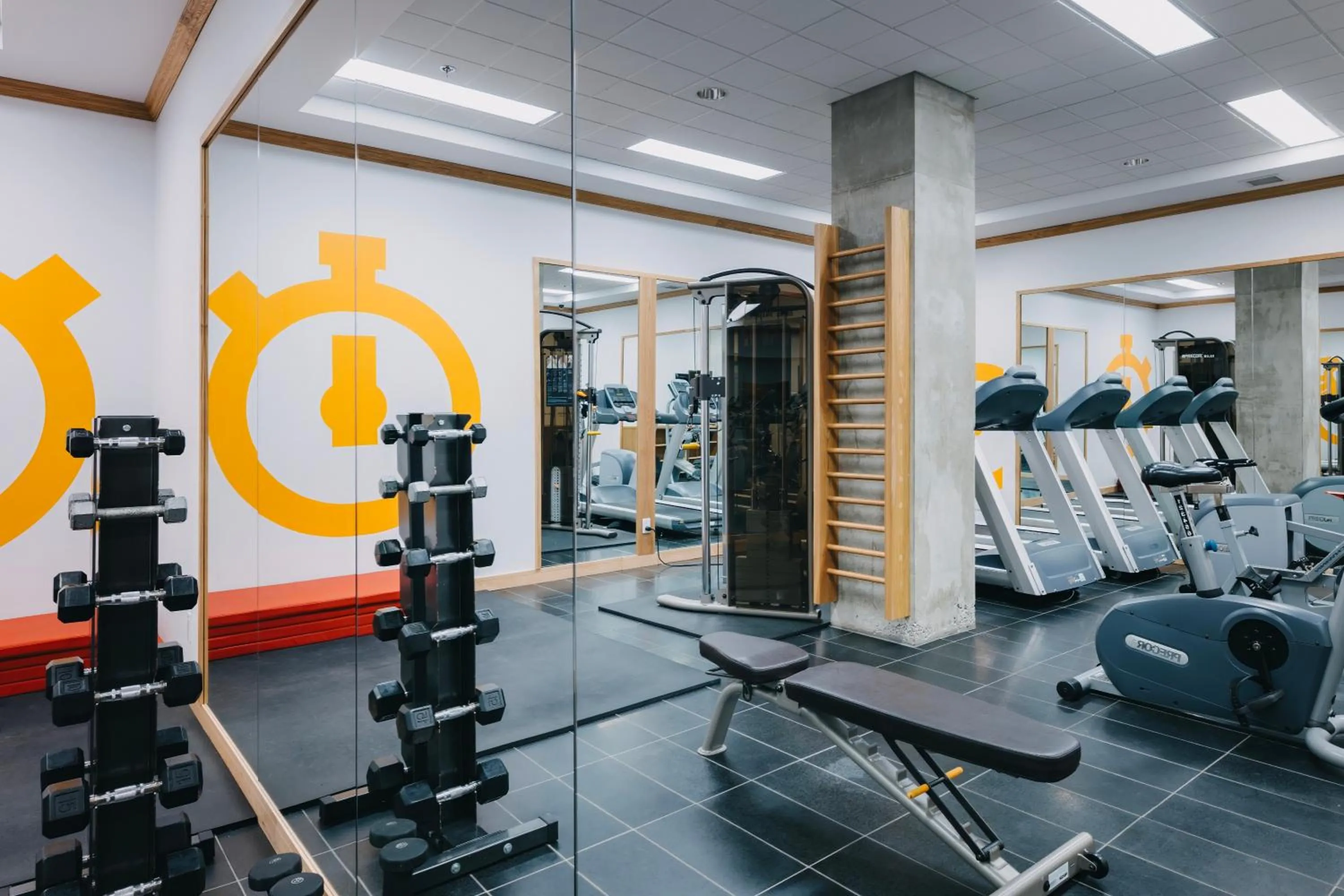 Fitness centre/facilities in Le Dauphin Montréal Centre-Ville
