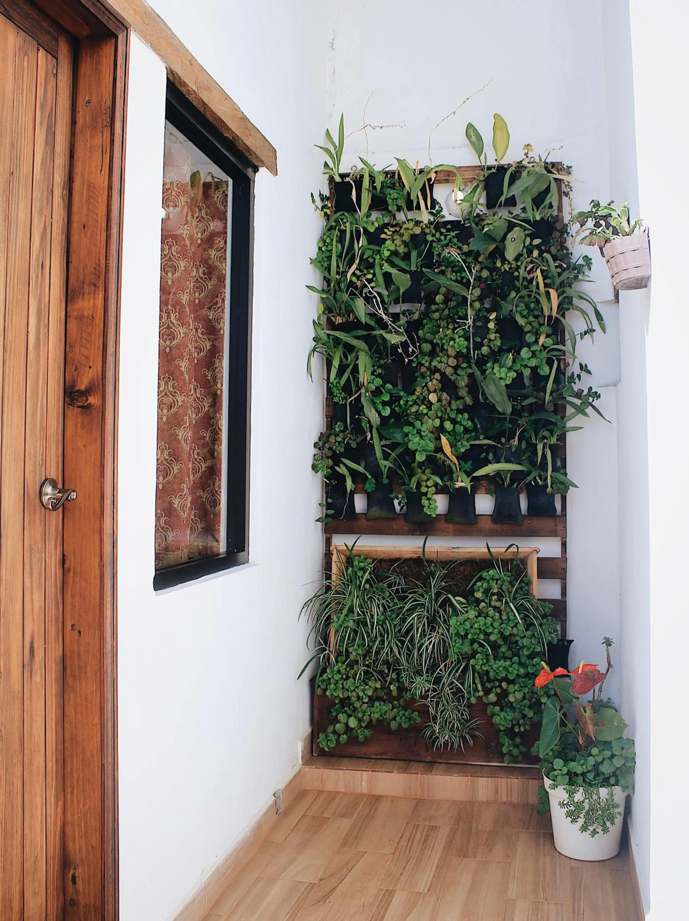 Garden in Ganesha Hotel