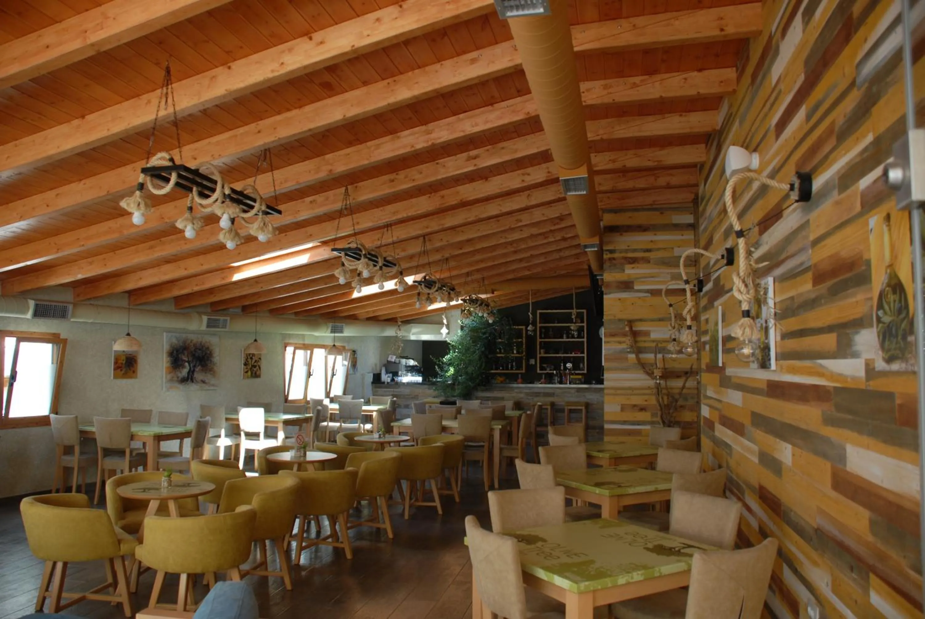 Olive Tree