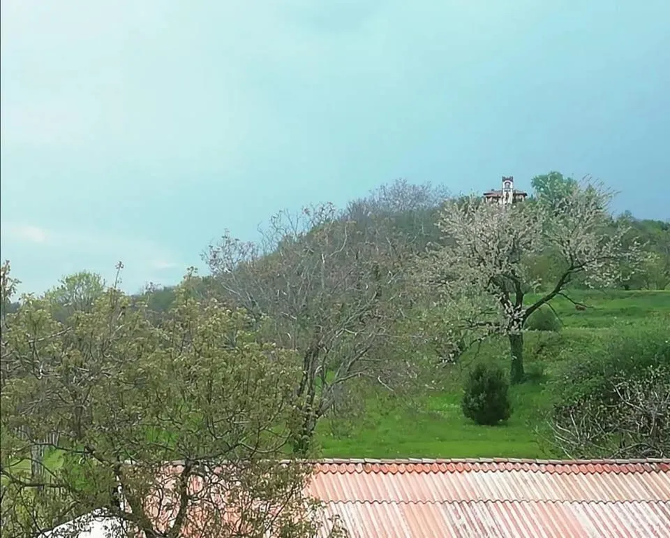 Natural landscape in B&B Books & Bikes