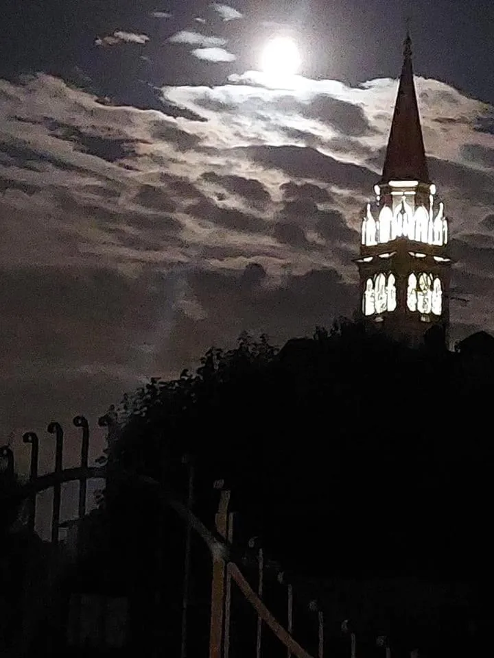 Natural landscape in B&B Books & Bikes