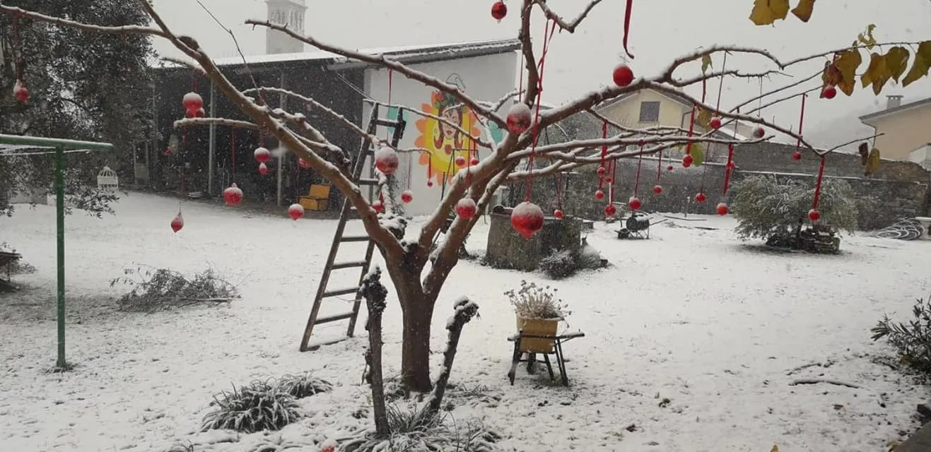 Garden view in B&B Books & Bikes