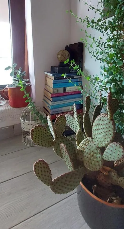 Communal lounge/ TV room in B&B Books & Bikes