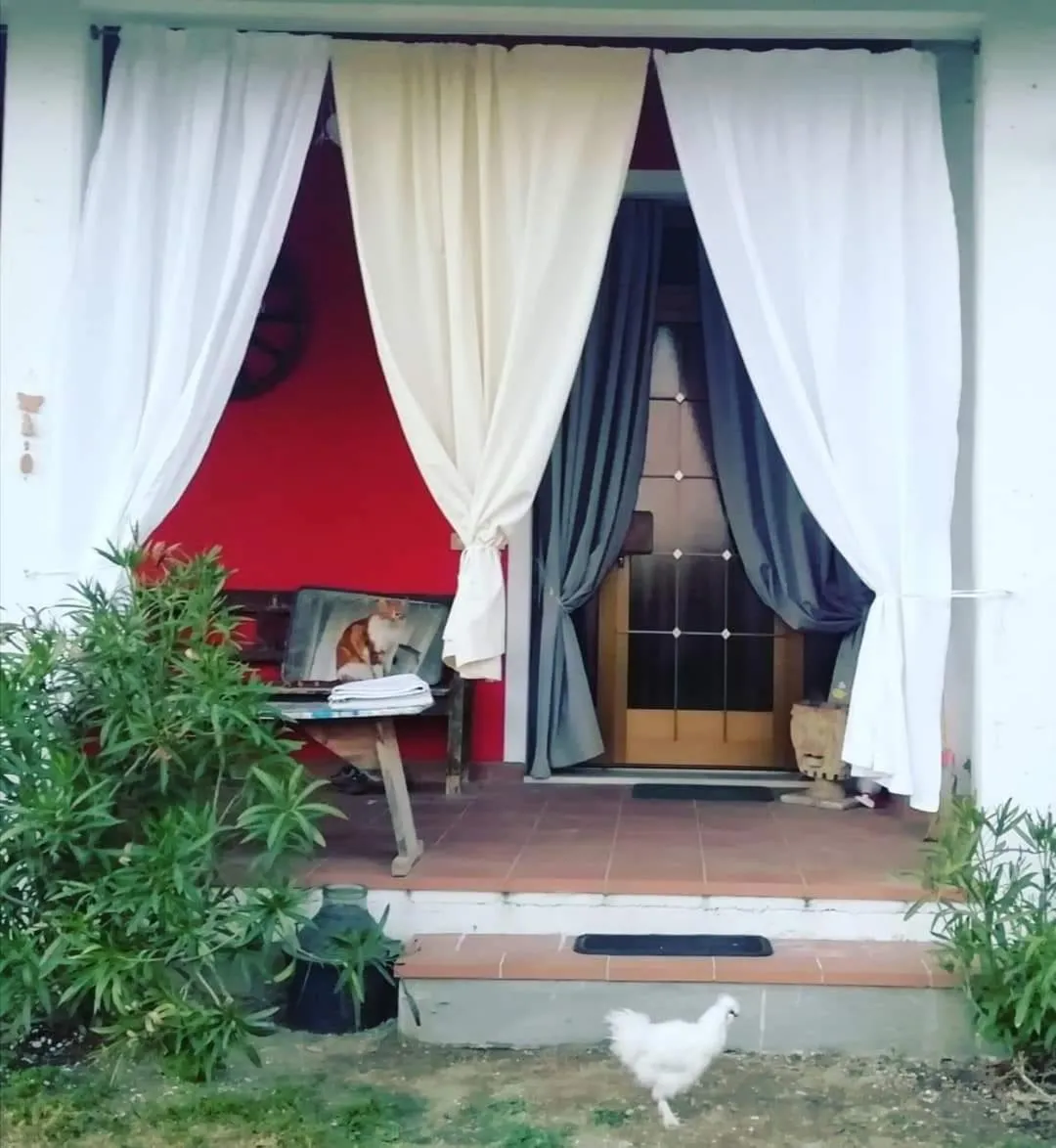 Property building in B&B Books & Bikes