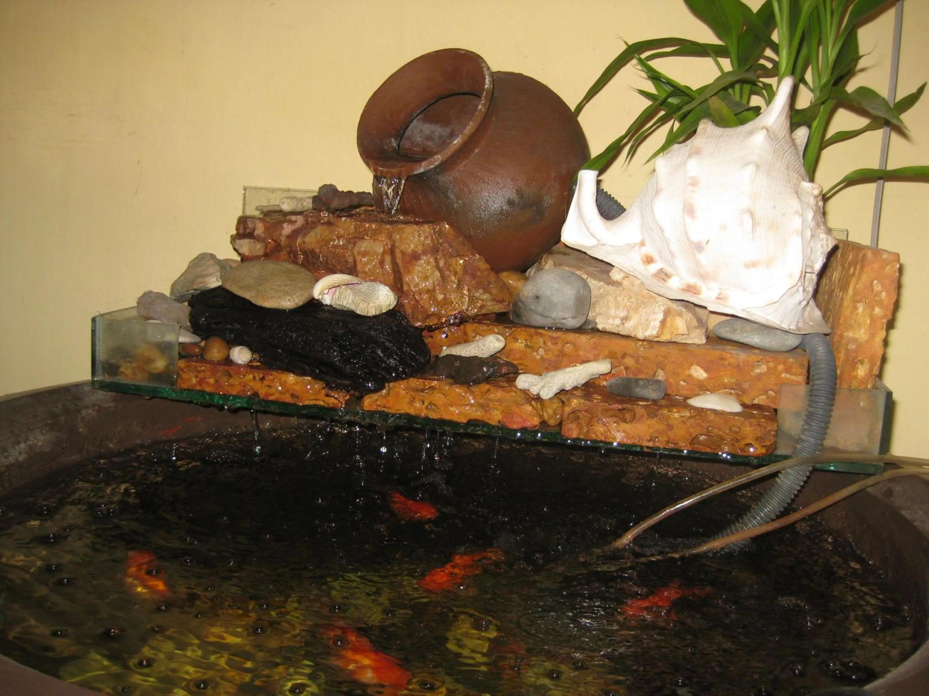 Other in Comfort House