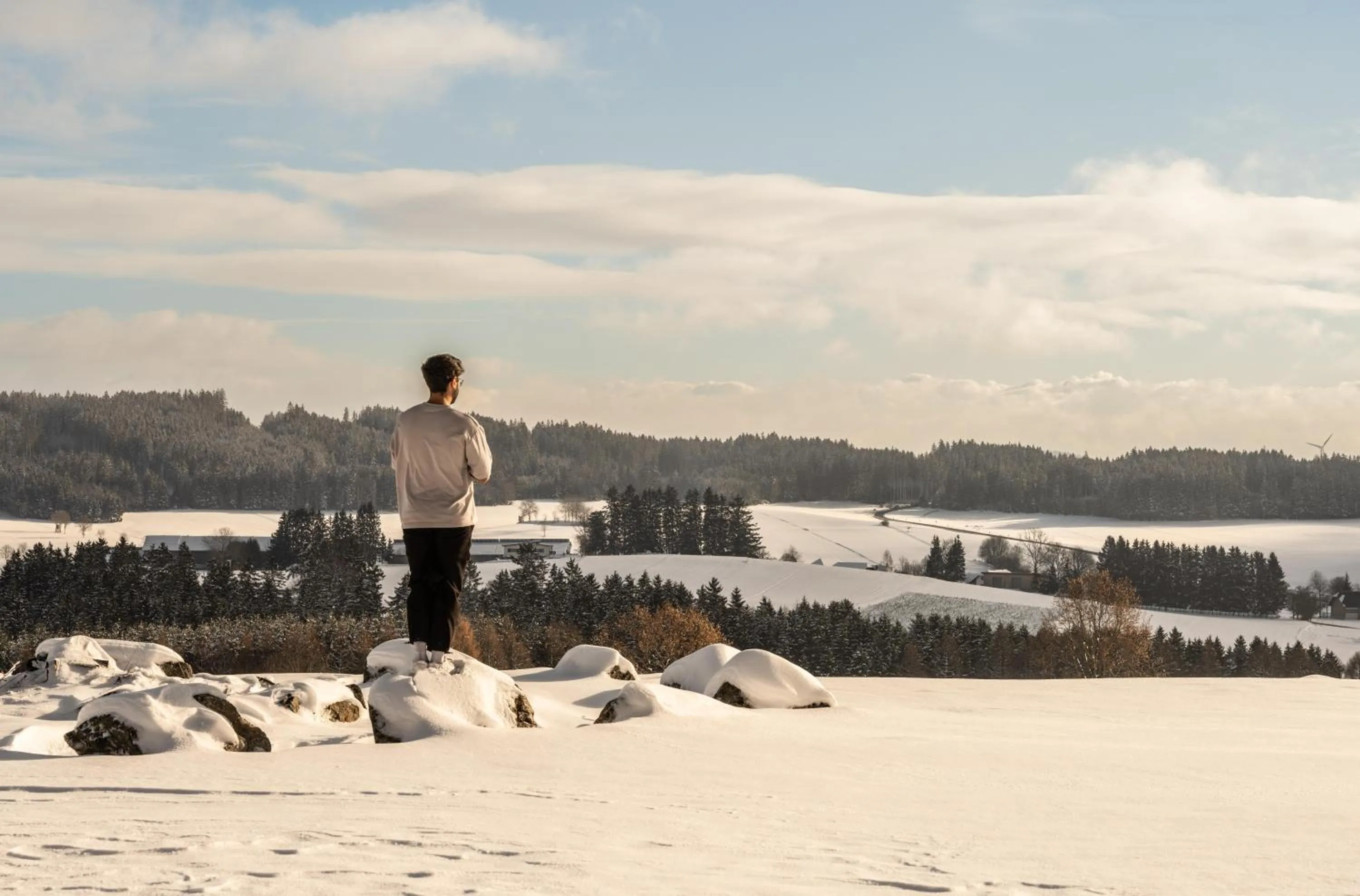 Natural landscape in Falkensteiner Hotel Bad Leonfelden - Adults Only