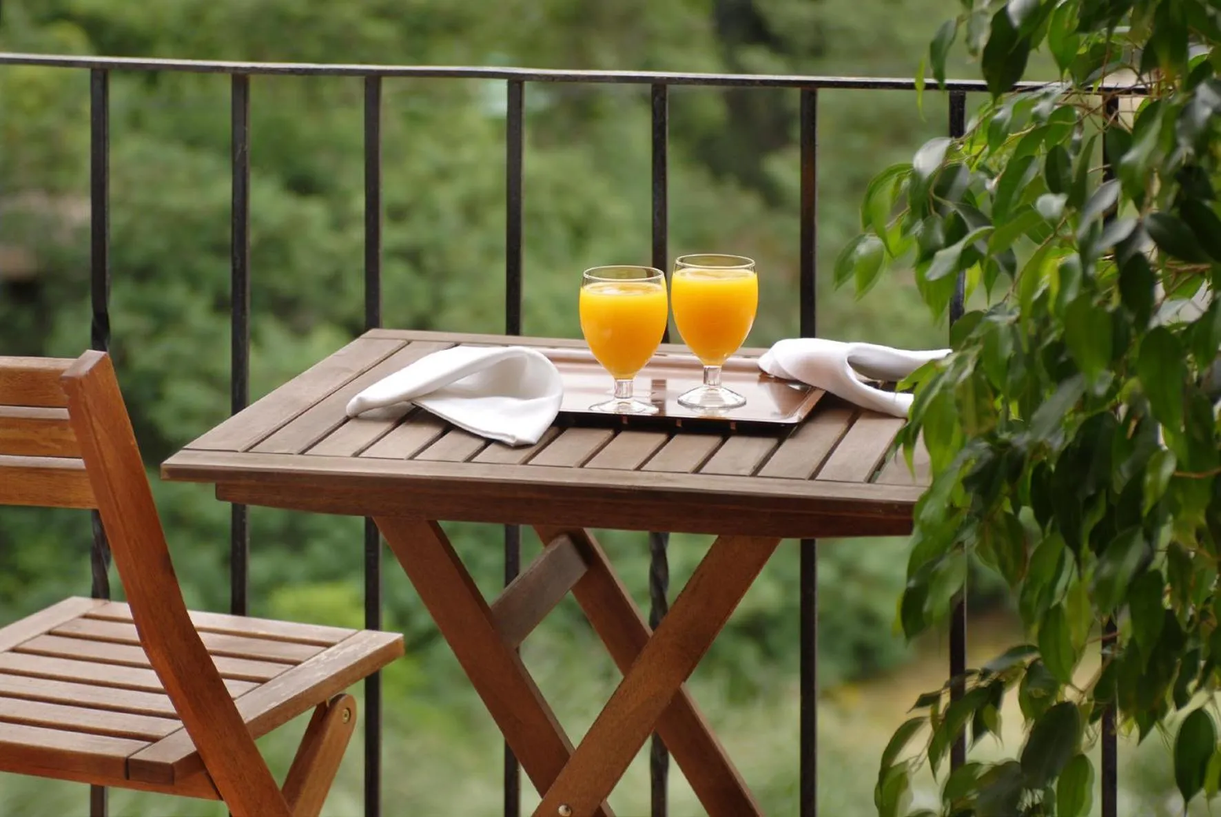 View (from property/room) in Can Rosich