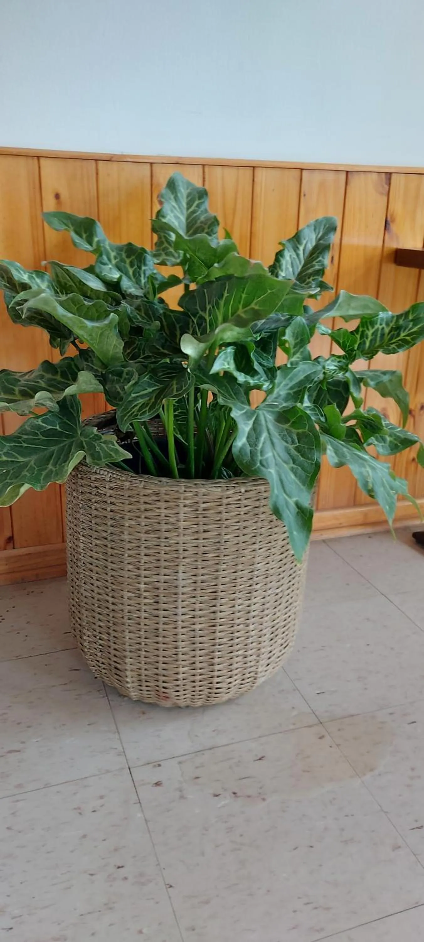 Property building in Hotel Chagual