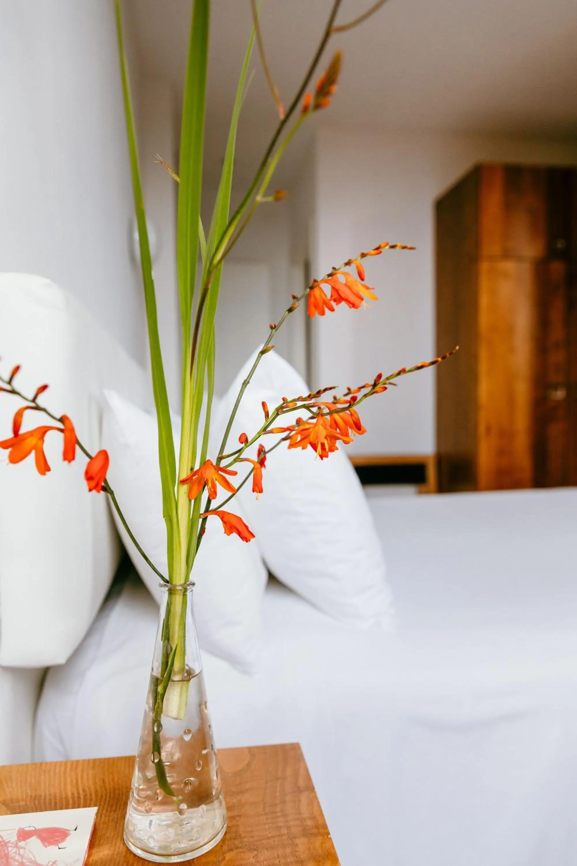 Hotel El Castaño Dormilón