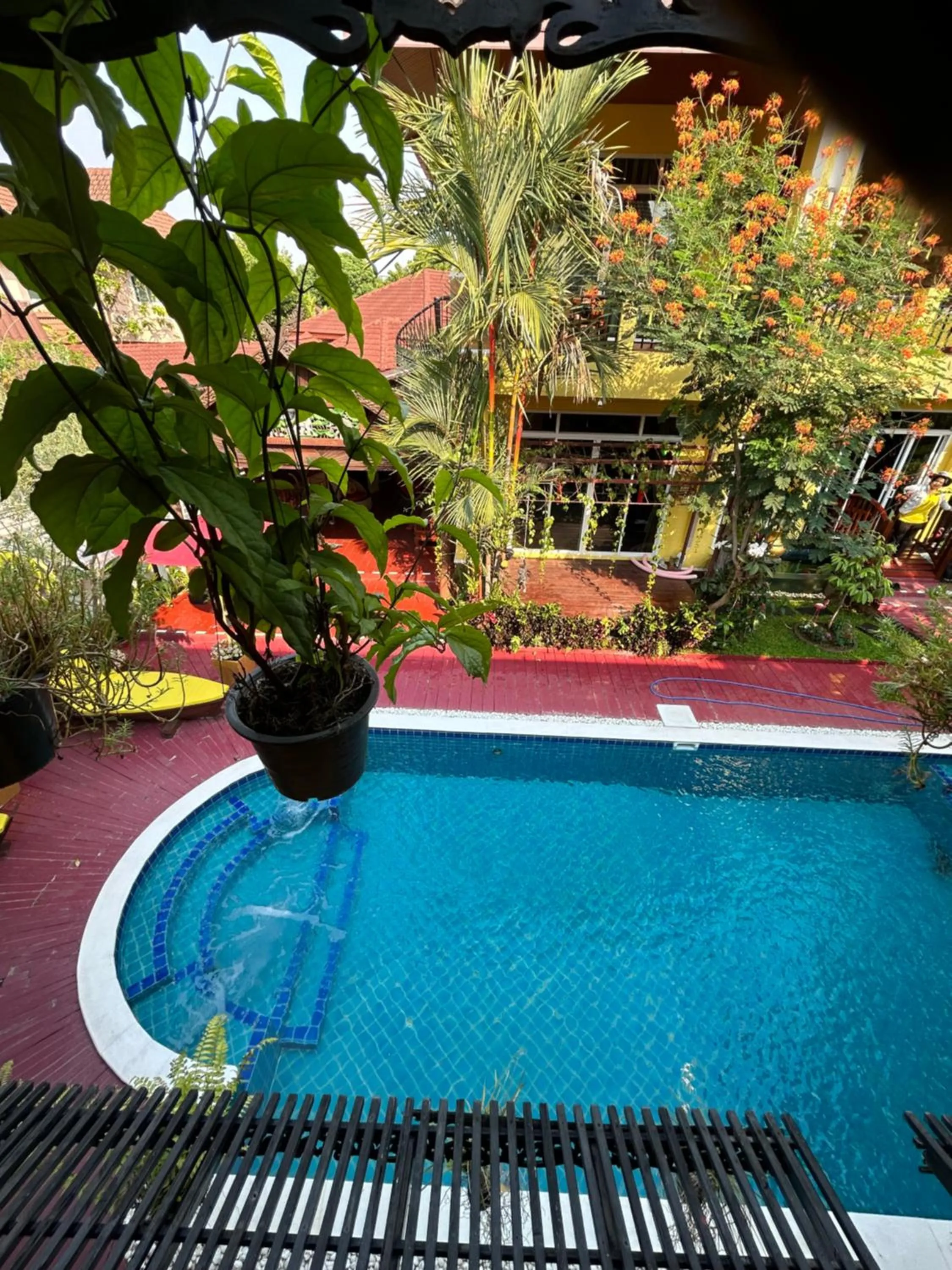 Swimming pool in Olivier Boutique