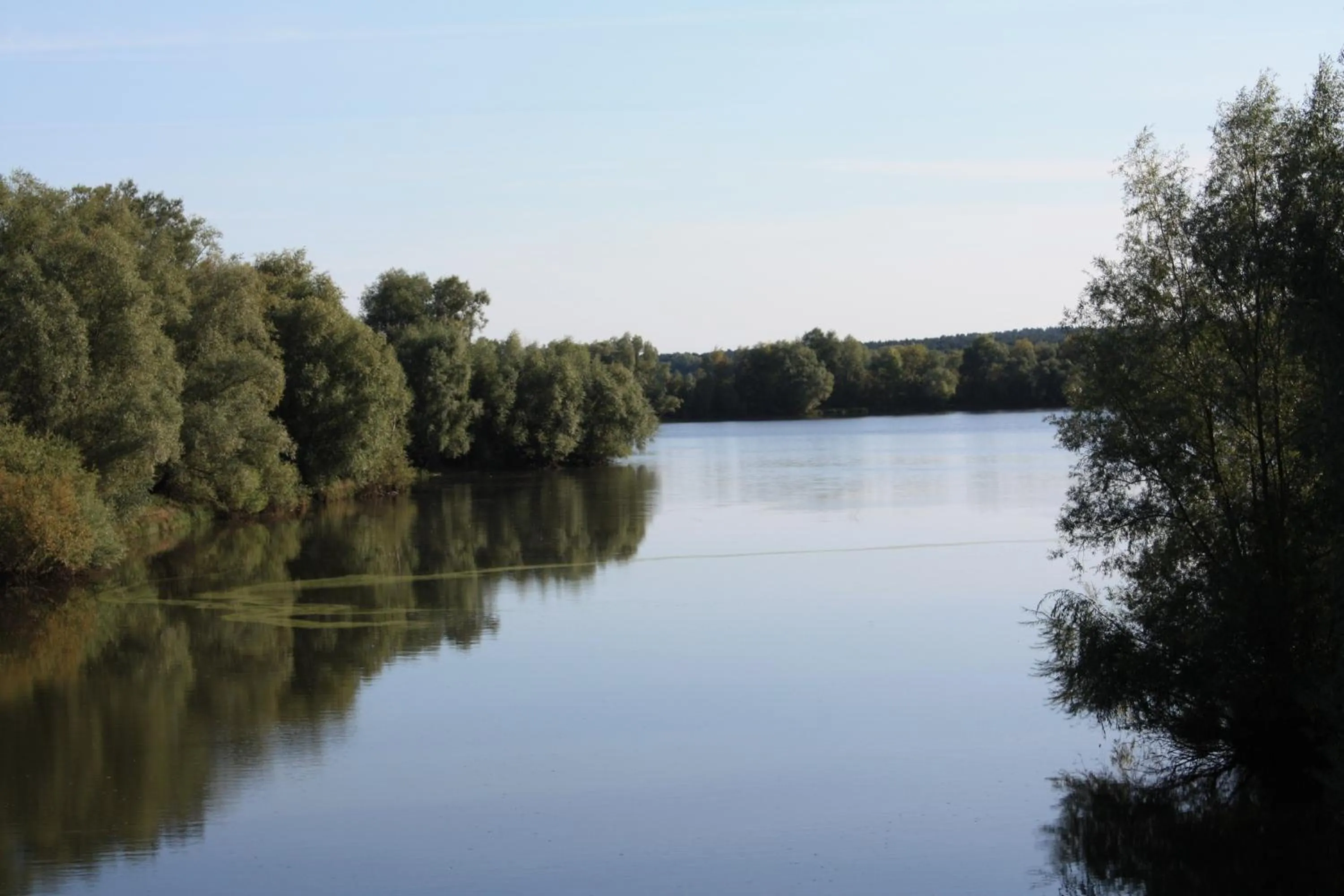 Natural landscape in Hotel Scholz