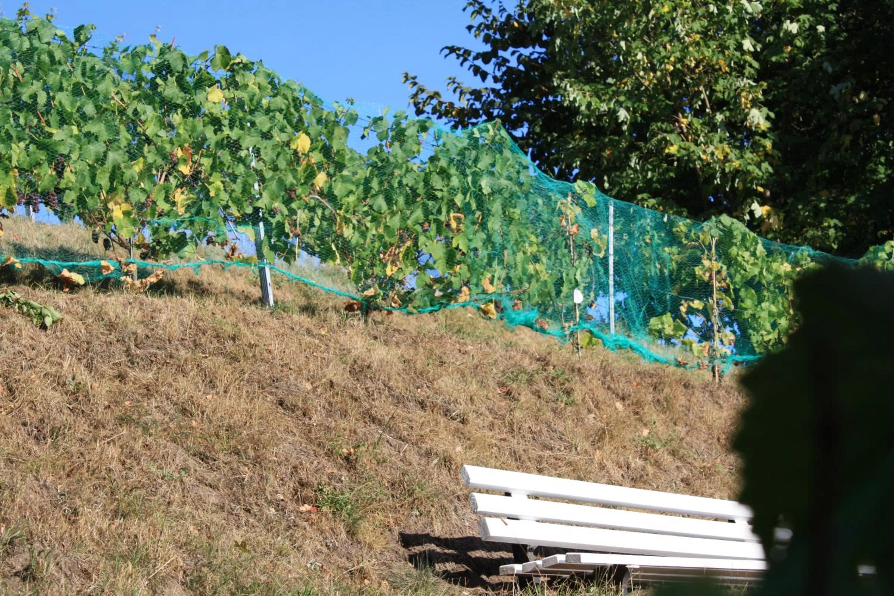 Nearby landmark in Hotel Scholz